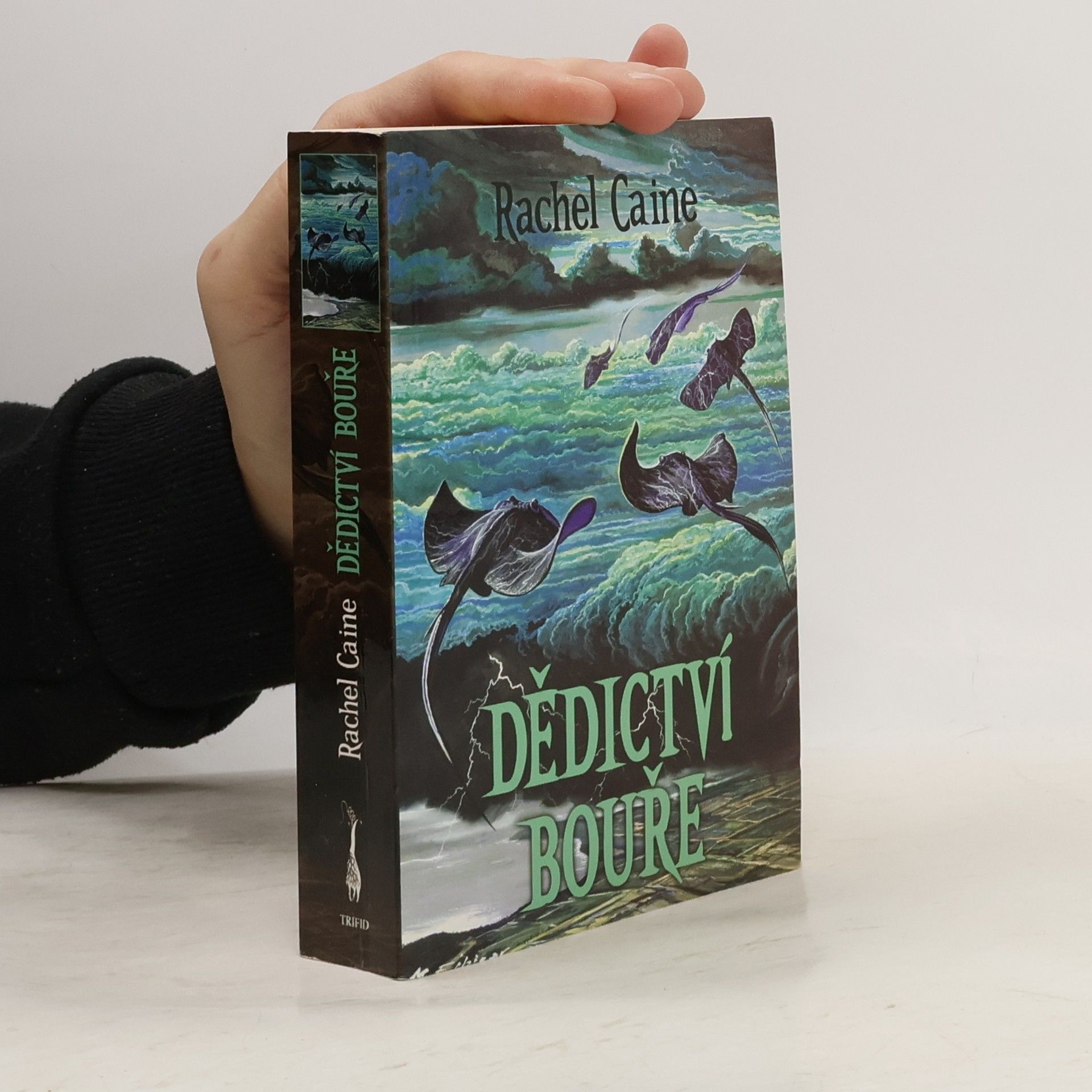 Rachel Caine Dědictví bouře