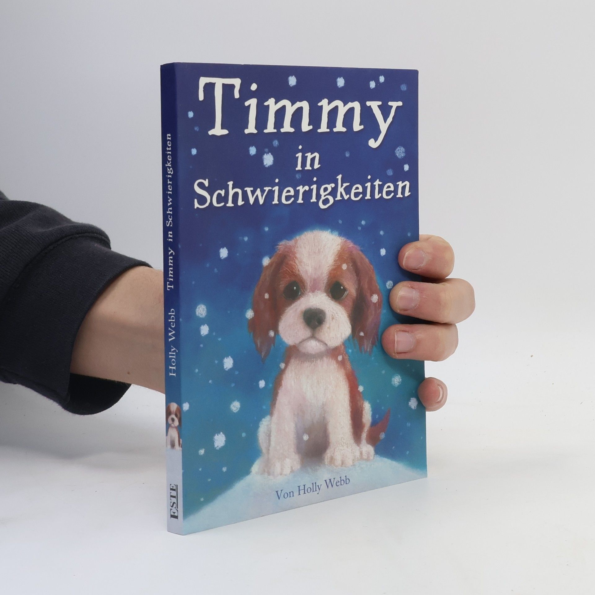 Timmy in Schwierigkeiten