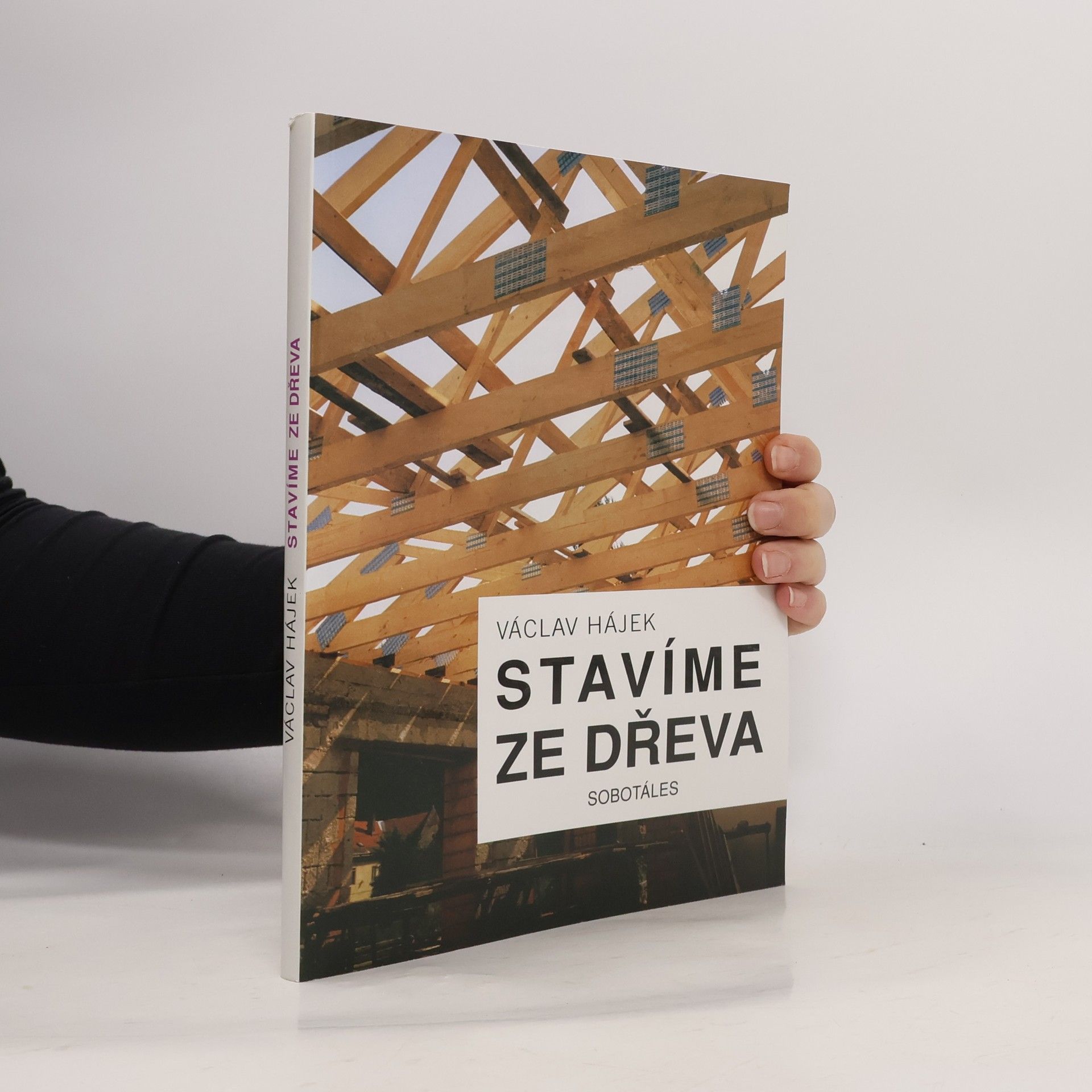 Václav Hájek Stavíme ze dřeva