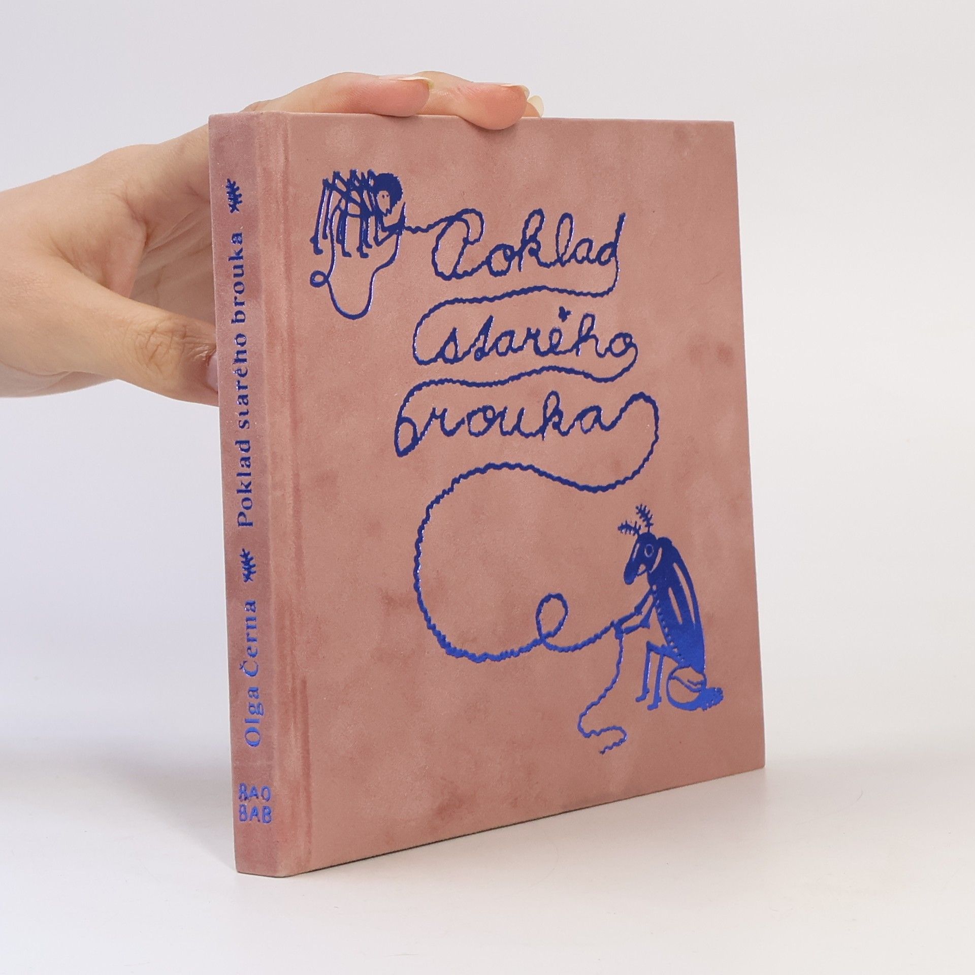 Olga Černá Poklad starého brouka