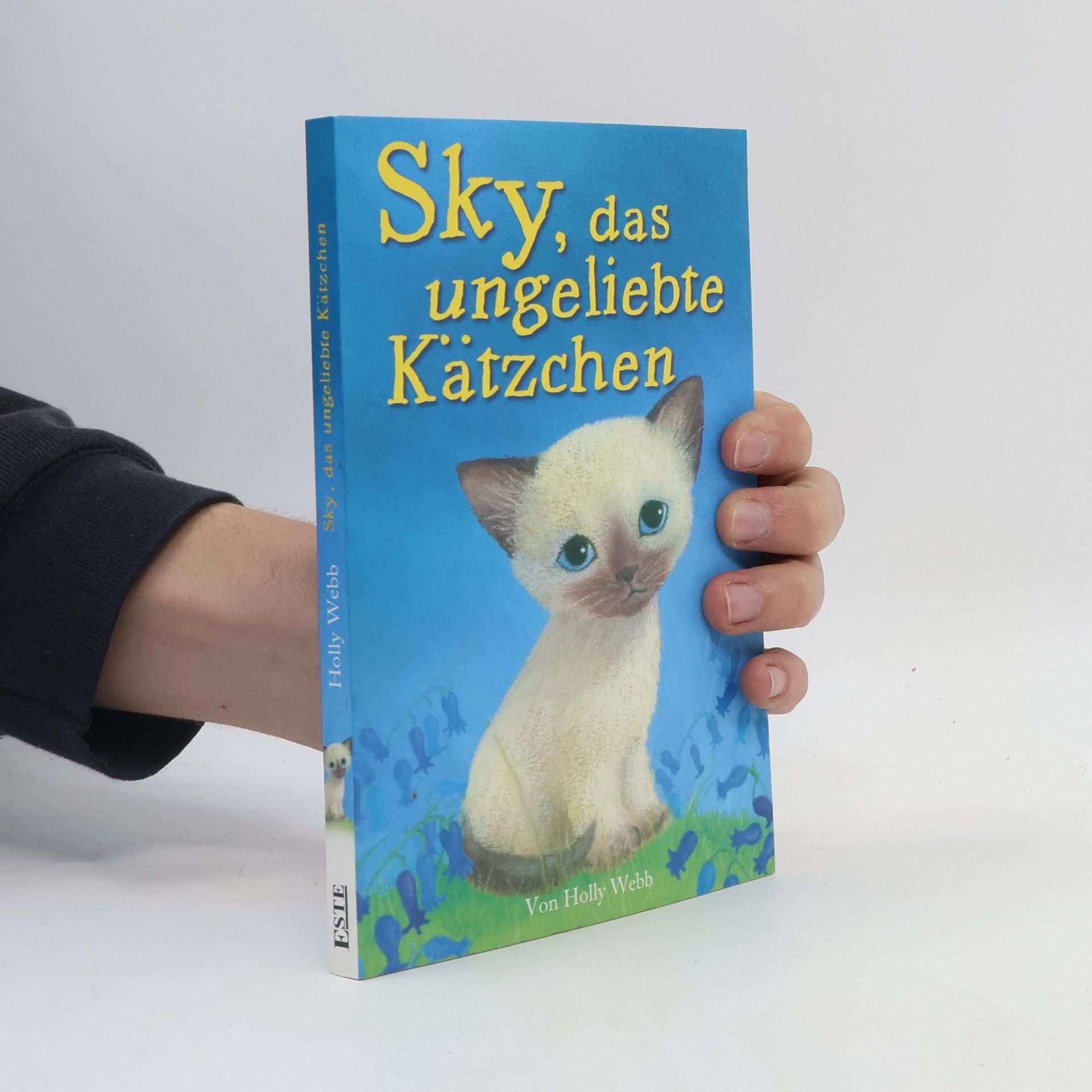 Holly Webb Sky, das ungeliebte Kätzchen