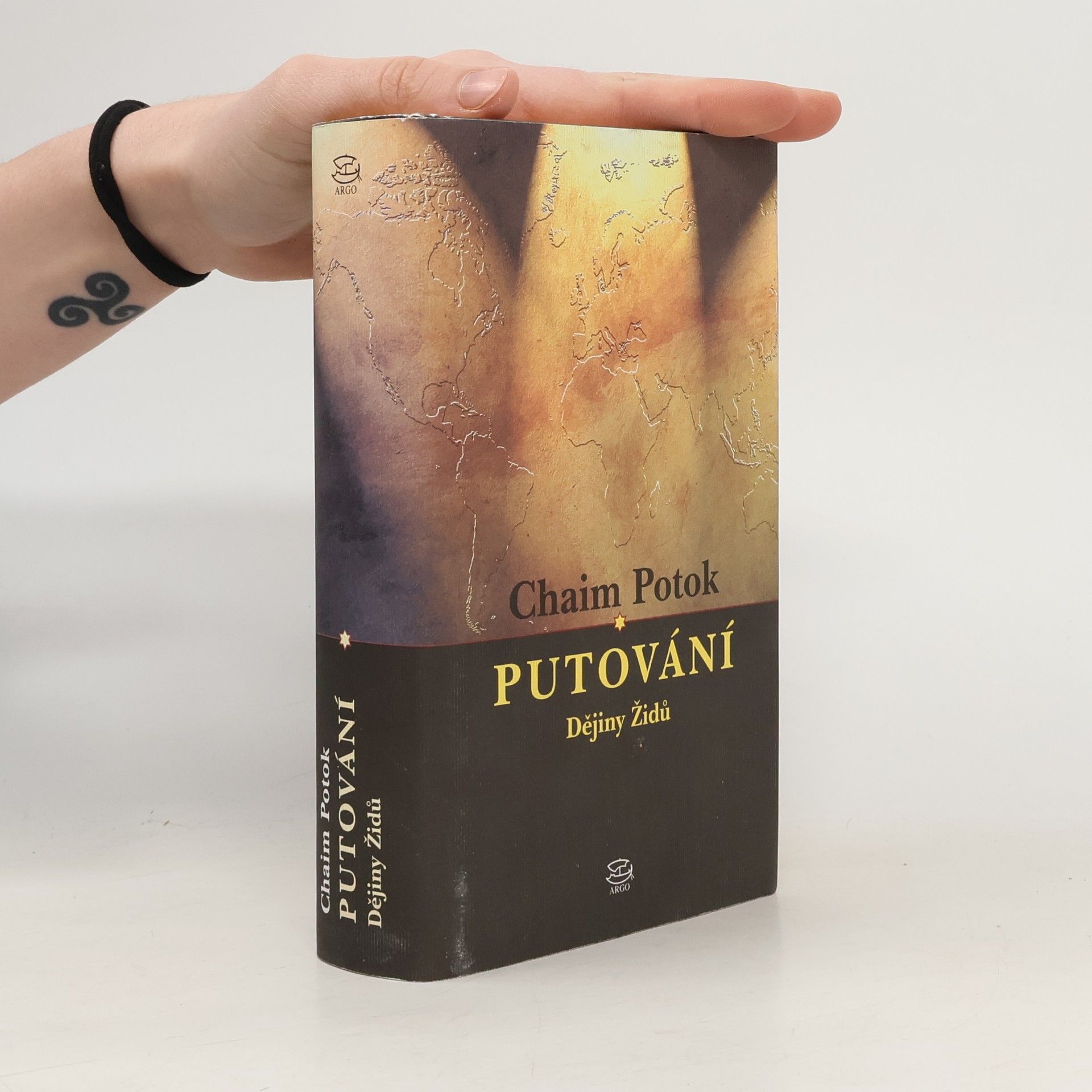 Chaim Potok Putování : dějiny Židů