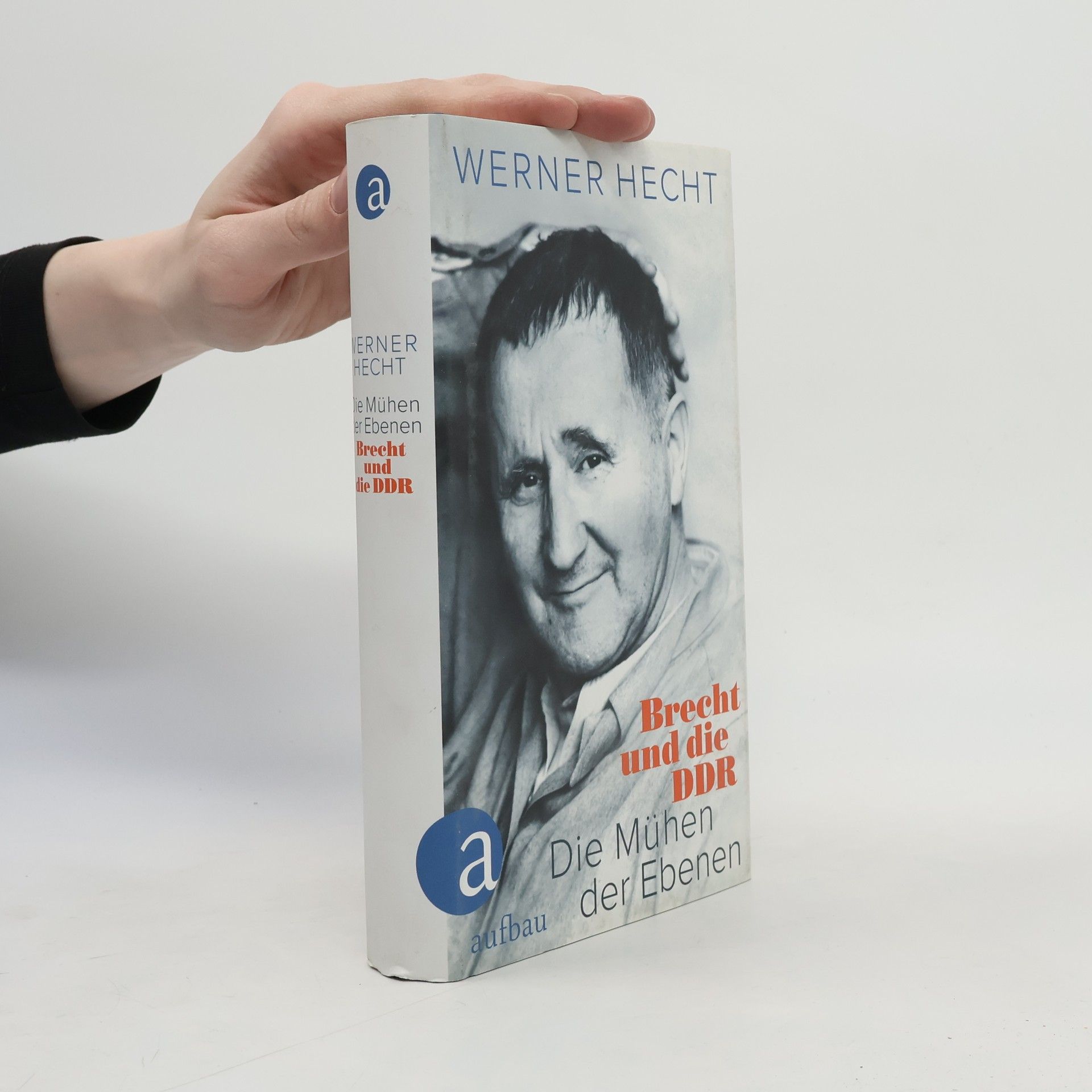 Werner Hecht Die Mühen der Ebenen