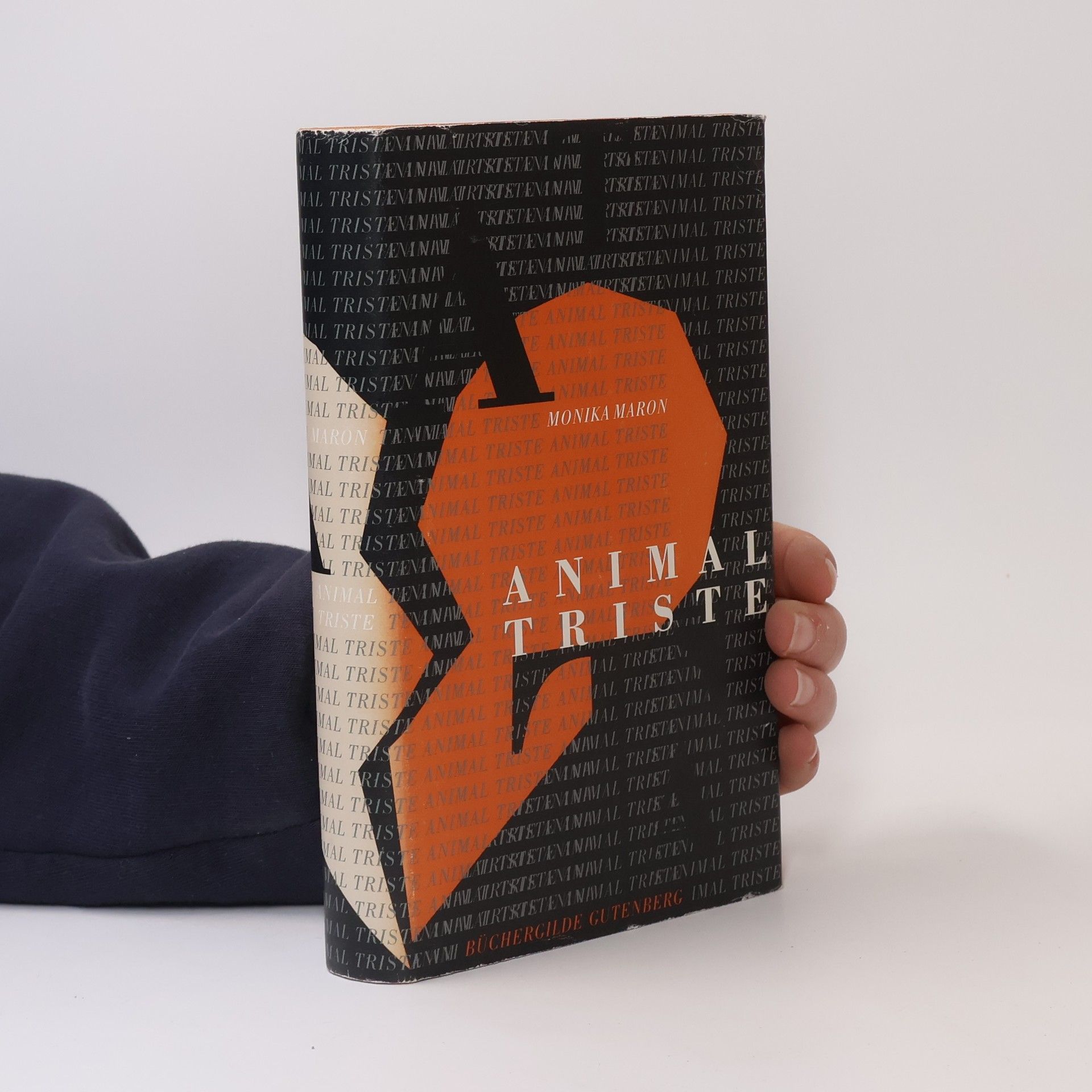 Monika Maron Animal triste