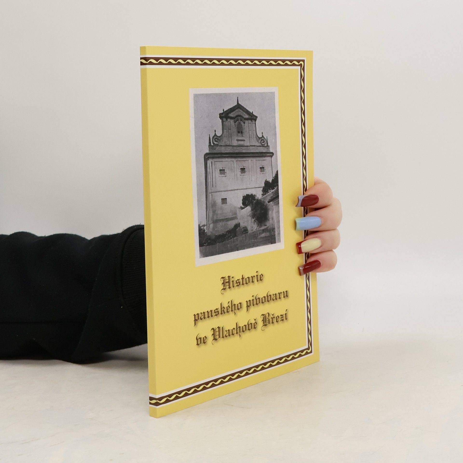 Autores varios Historie panského pivovaru ve Vlachově Březí