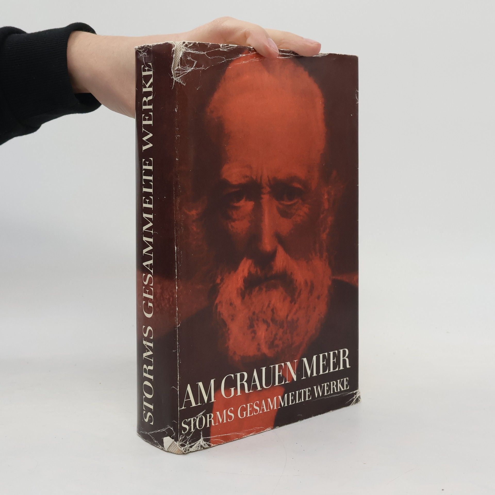 Theodor Storm Am grauen Meer. Storms gesammelte Werke