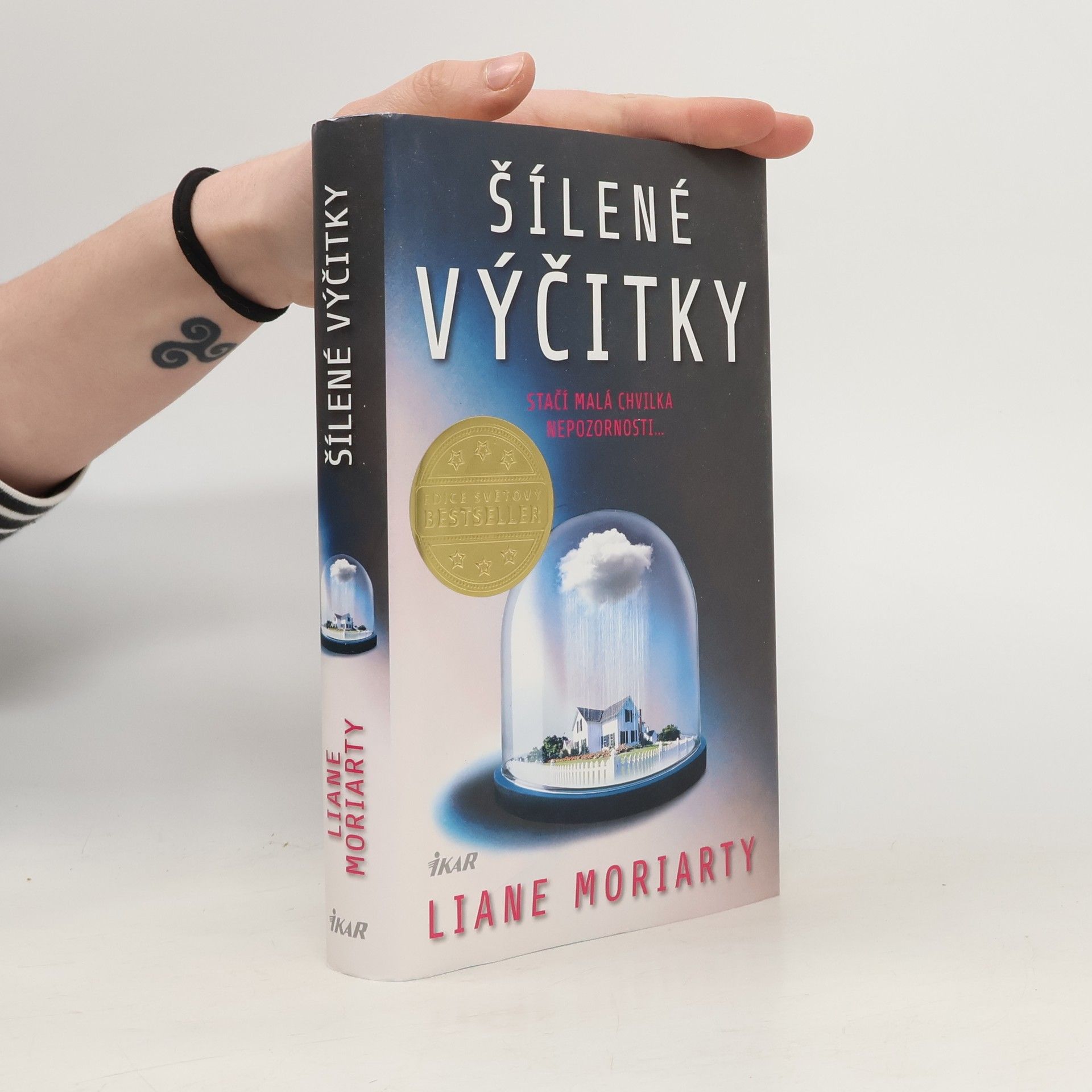 Liane Moriarty Šílené výčitky