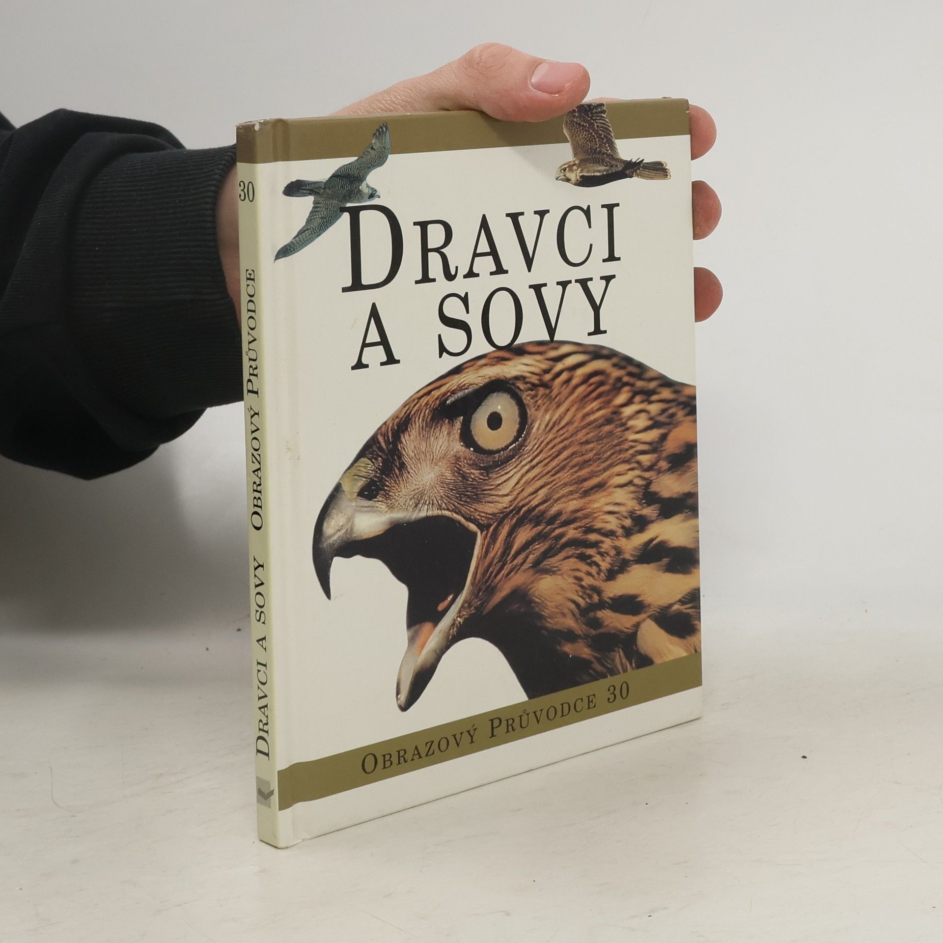 Autores varios Dravci a sovy