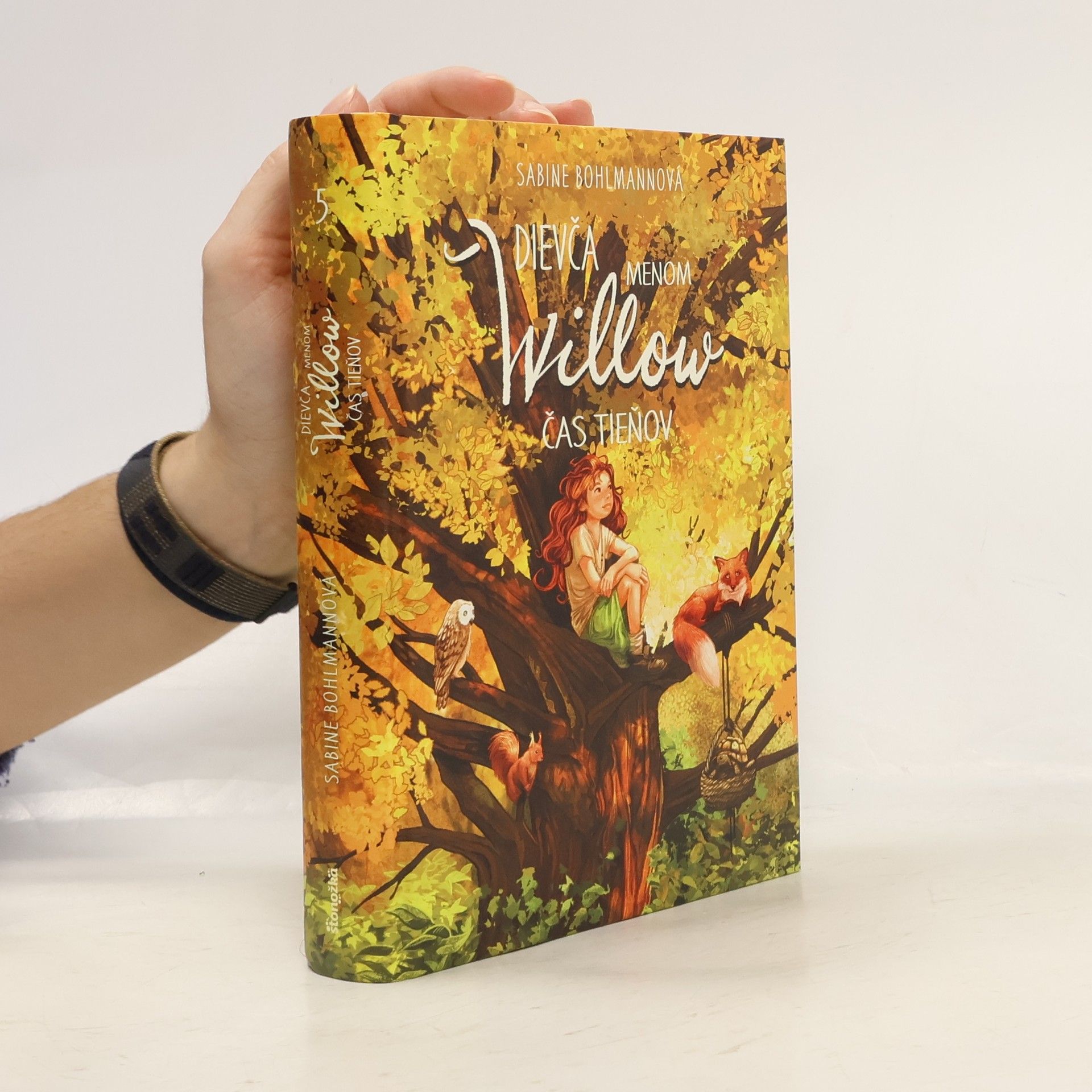 Sabine Bohlmann Čas tieňov