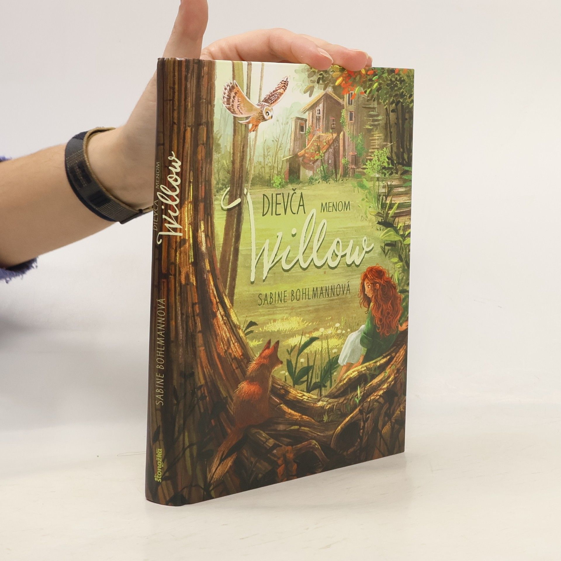 Sabine Bohlmann Dievča menom Willow