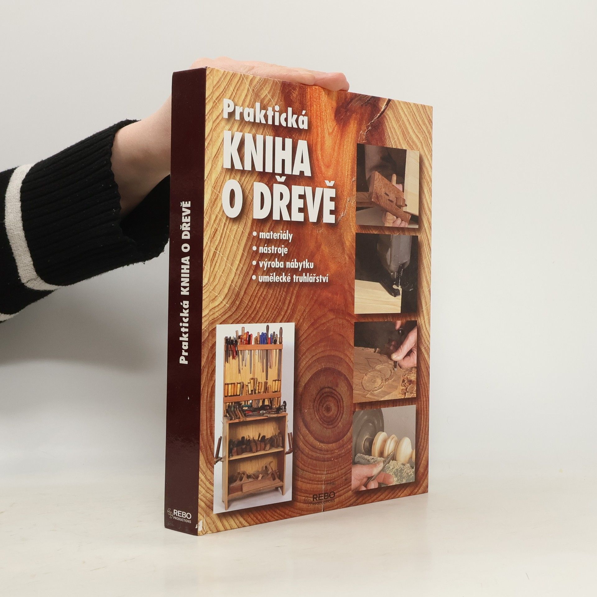Jordi Vigué-Martín Praktická kniha o dřevě : [materiály, nástroje, výroba nábytku, umělecké truhlářství