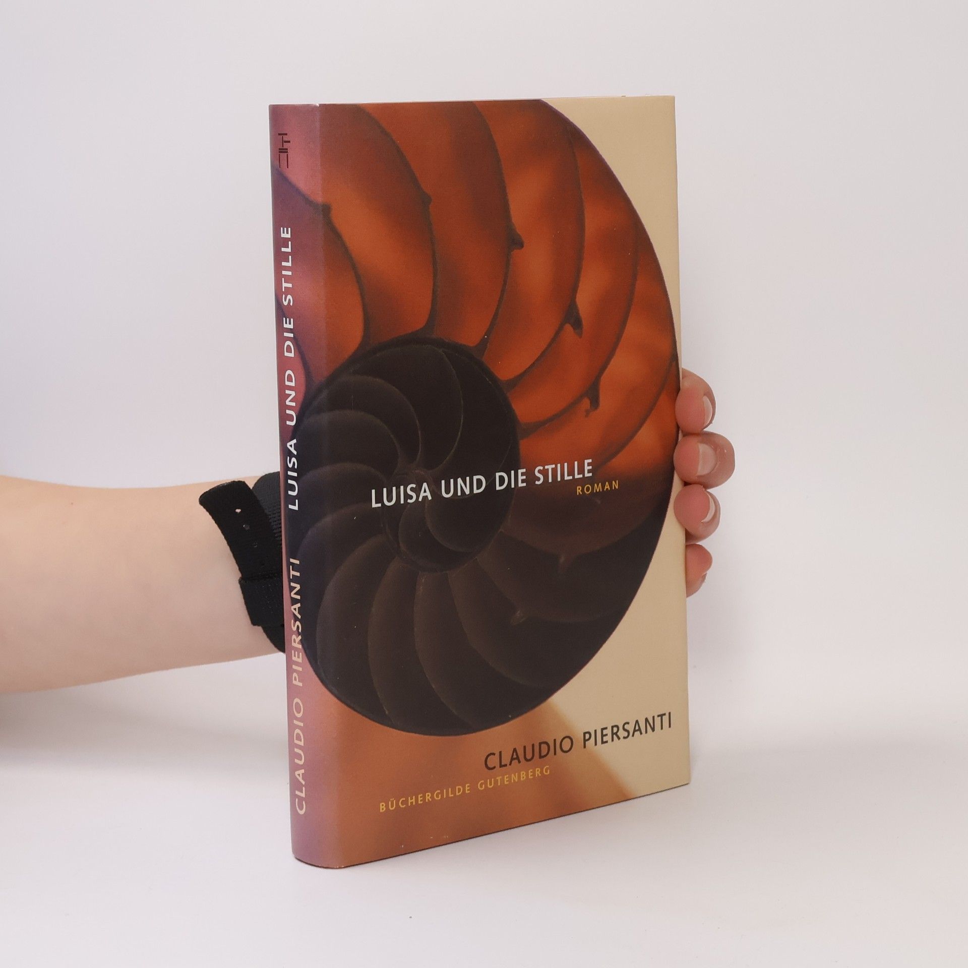 Claudio Piersanti Luisa und die Stille