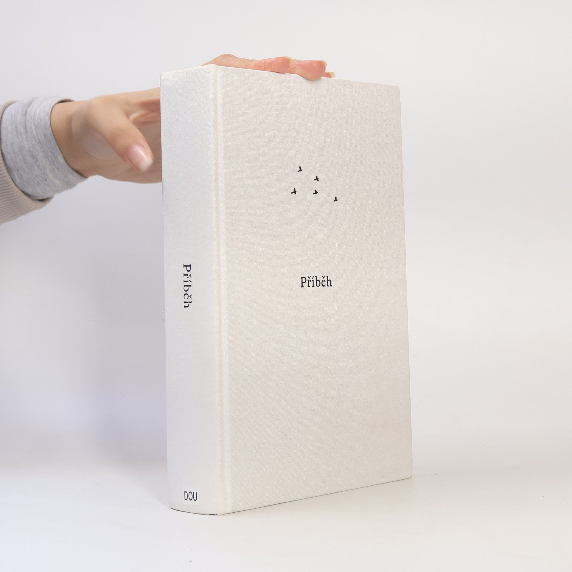 Hejno bez ptáků: Příběh