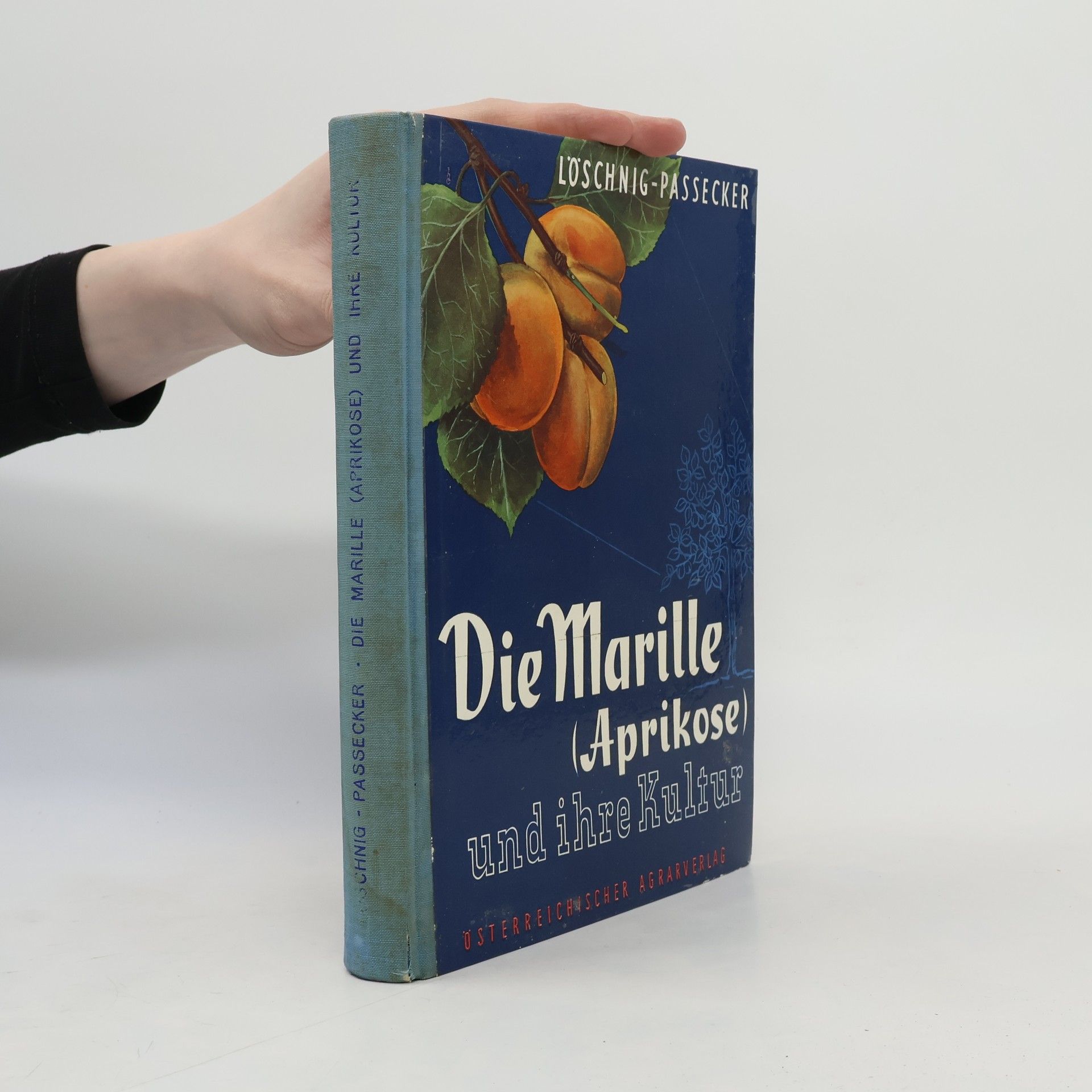 H. J. Löschnig Die Marille Aprikose und Ihre Kultur