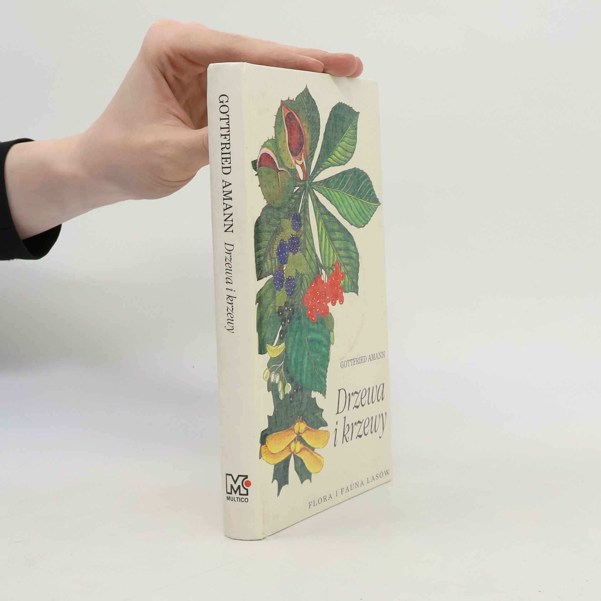 Gottfried Amann Drzewa i krzewy