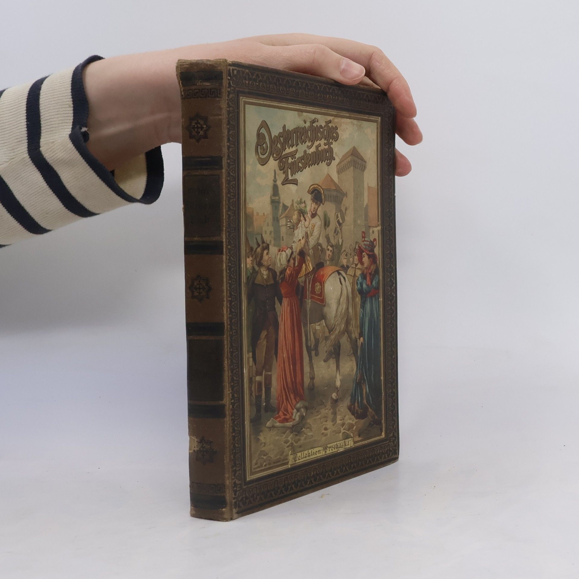 Ferdinand Zöhrer Österreichisches Fürstenbuch