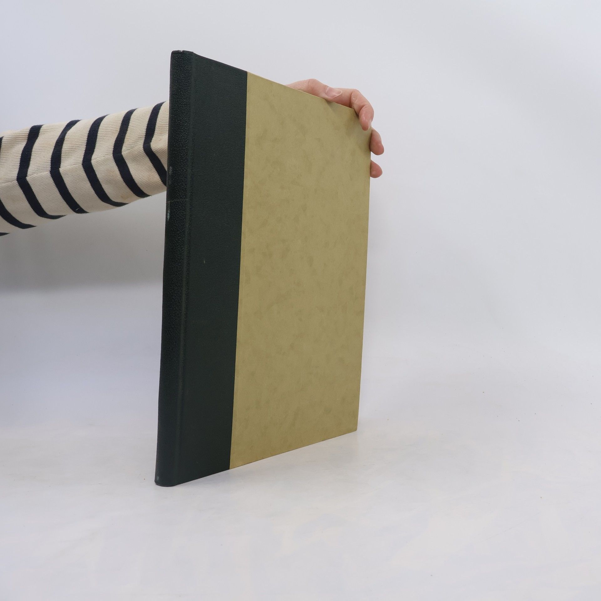 Kolektiv autorů Wiener Küche