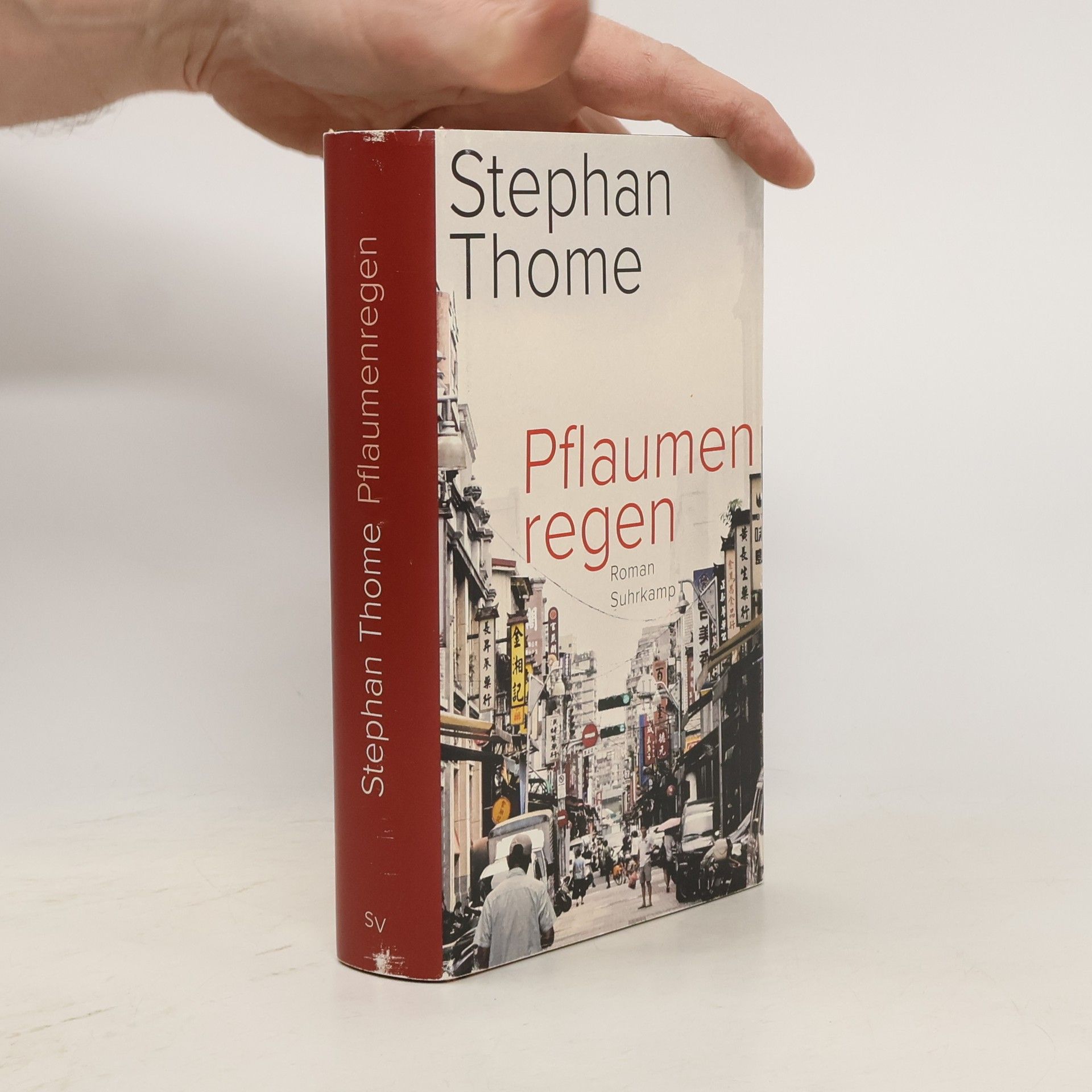 Stephan Thome Pflaumenregen