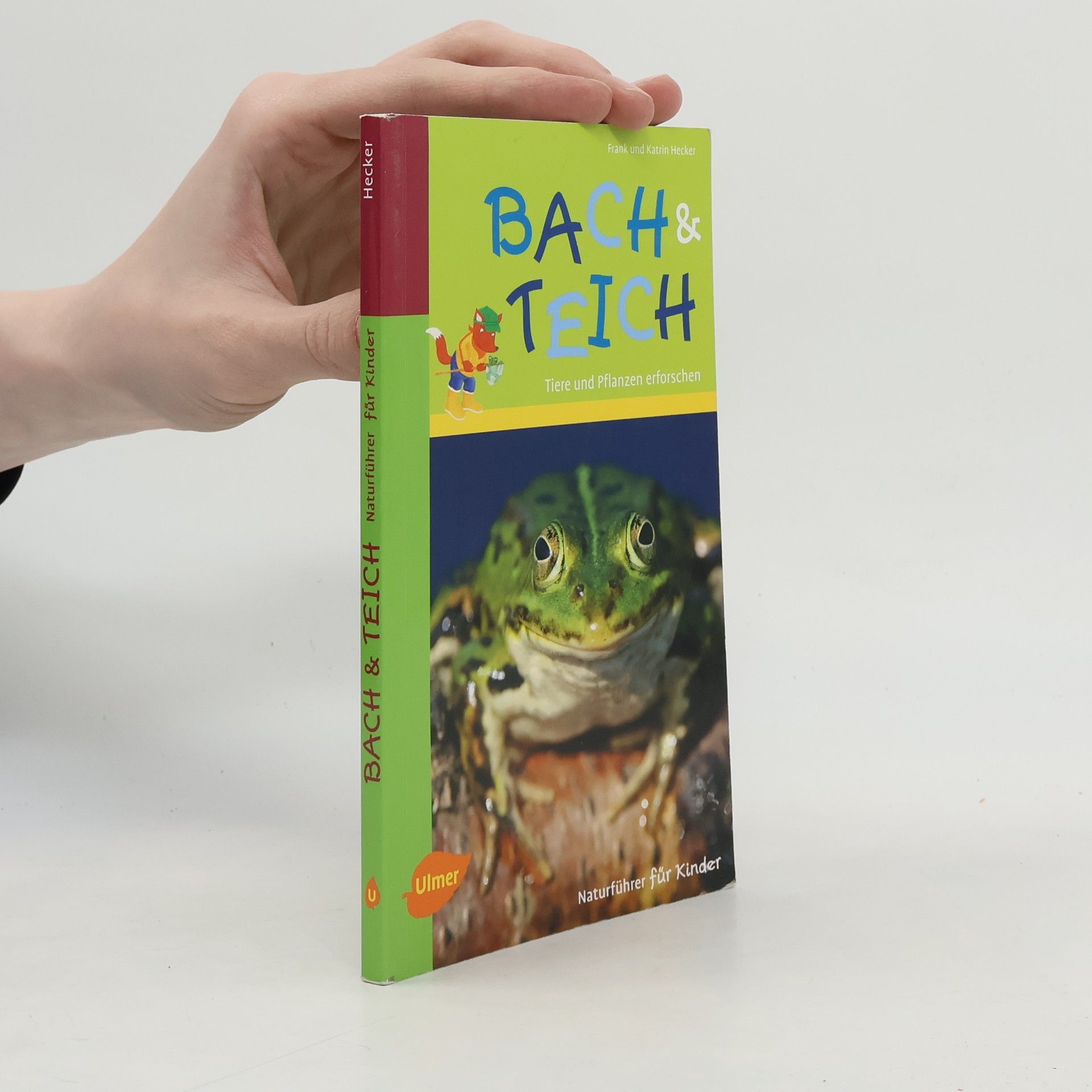 Katrin Hecker Bach & Teich