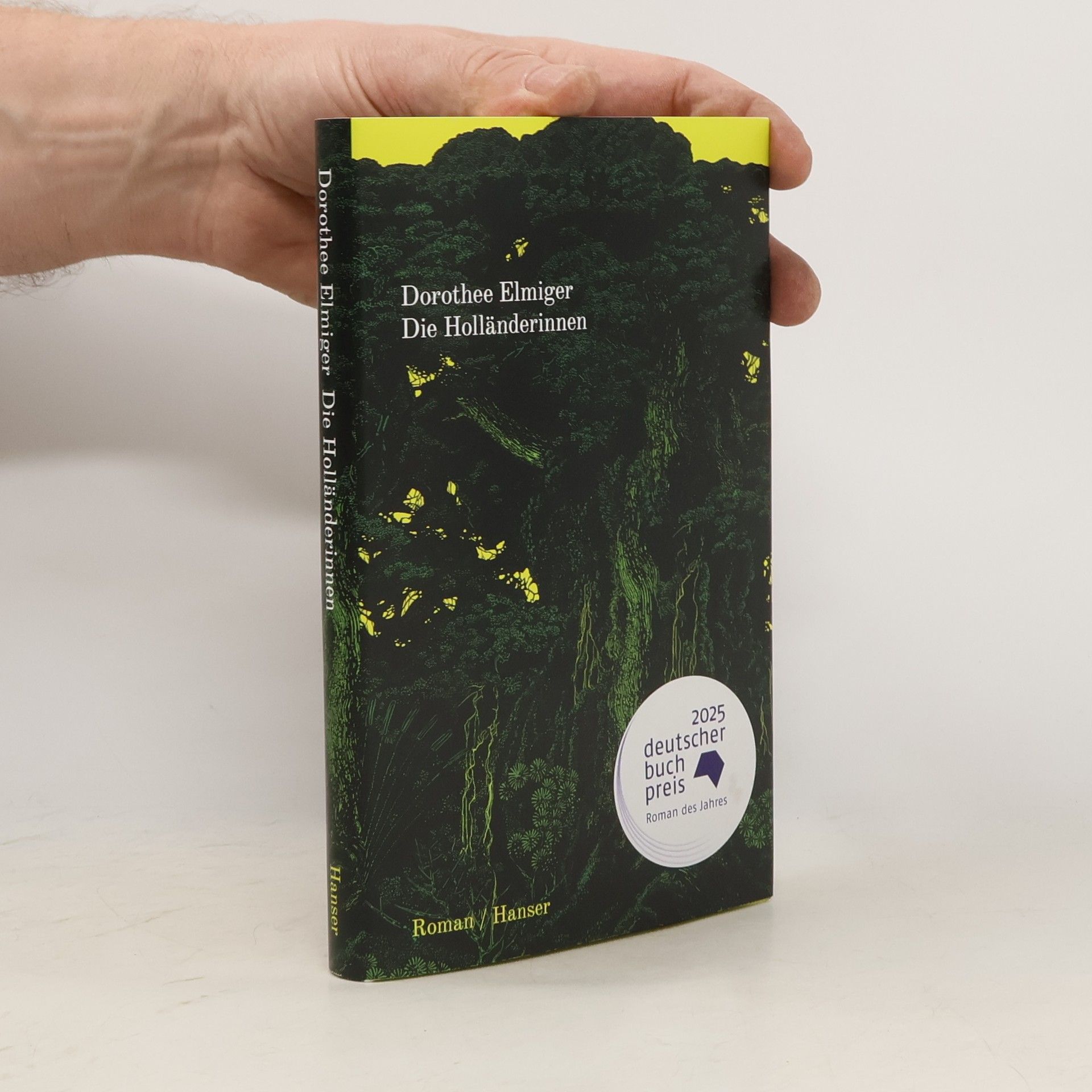 Dorothee Elmiger Die Holländerinnen