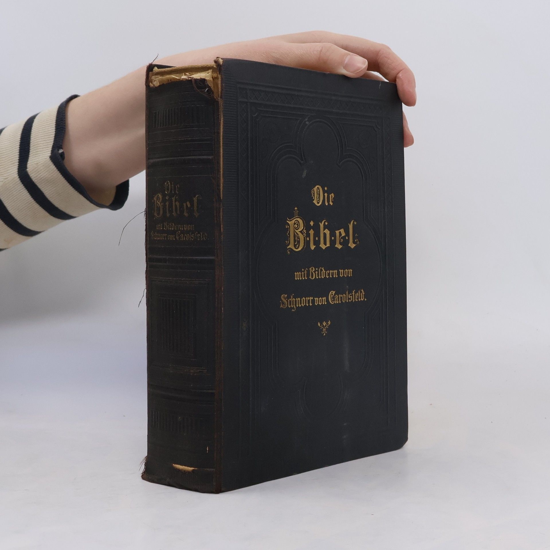 Martin Luther Die Bibel oder die Heilige Schrift des Alten und Neuen Testaments