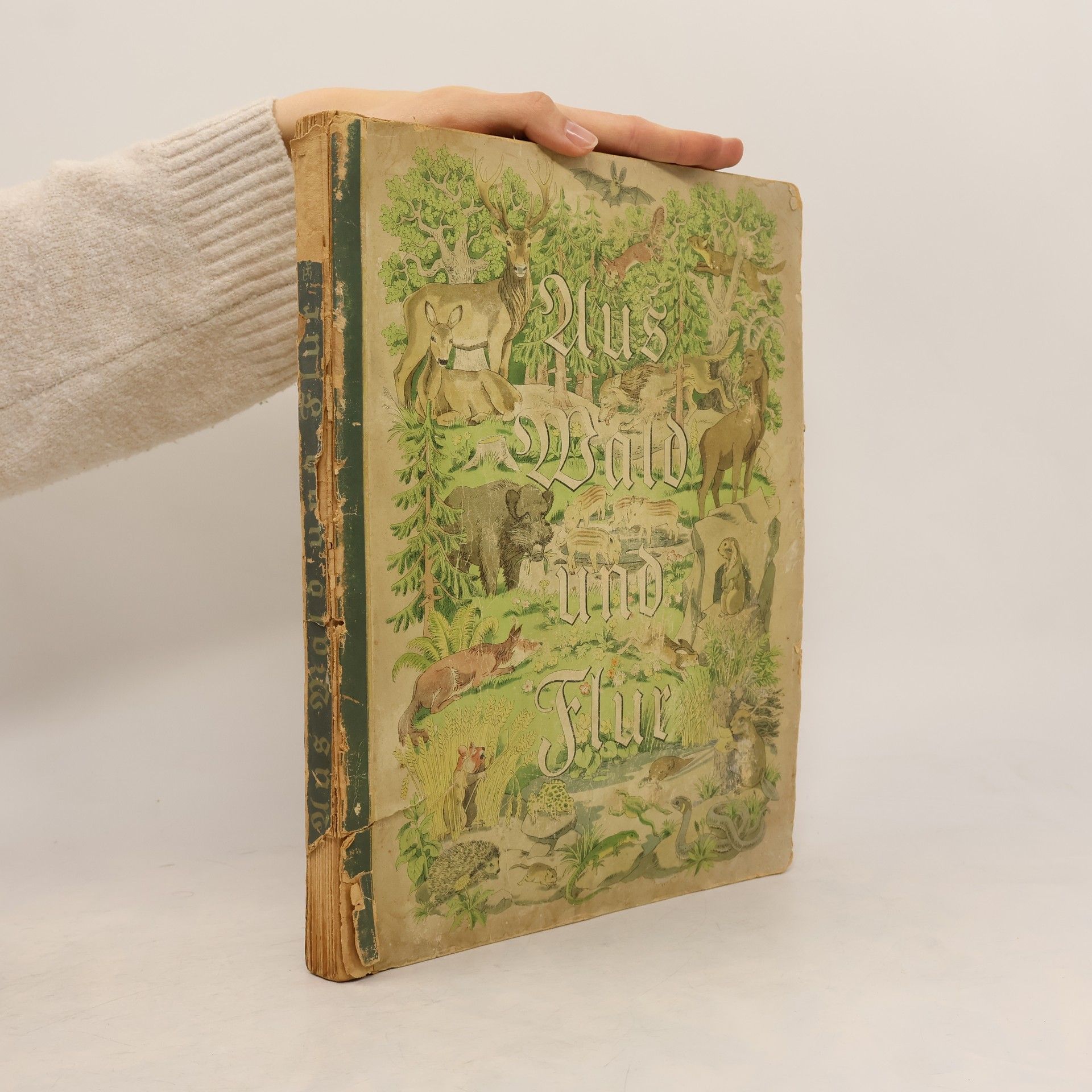 Various authors Aus Wald und Flur