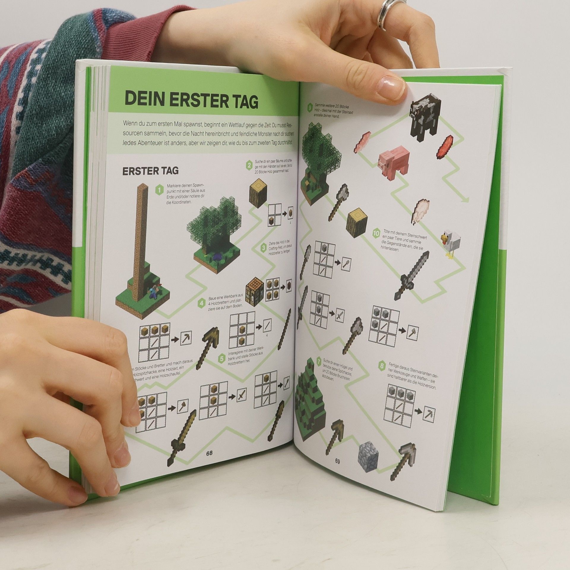 Stephanie Milton Minecraft - Handbuch für Entdecker