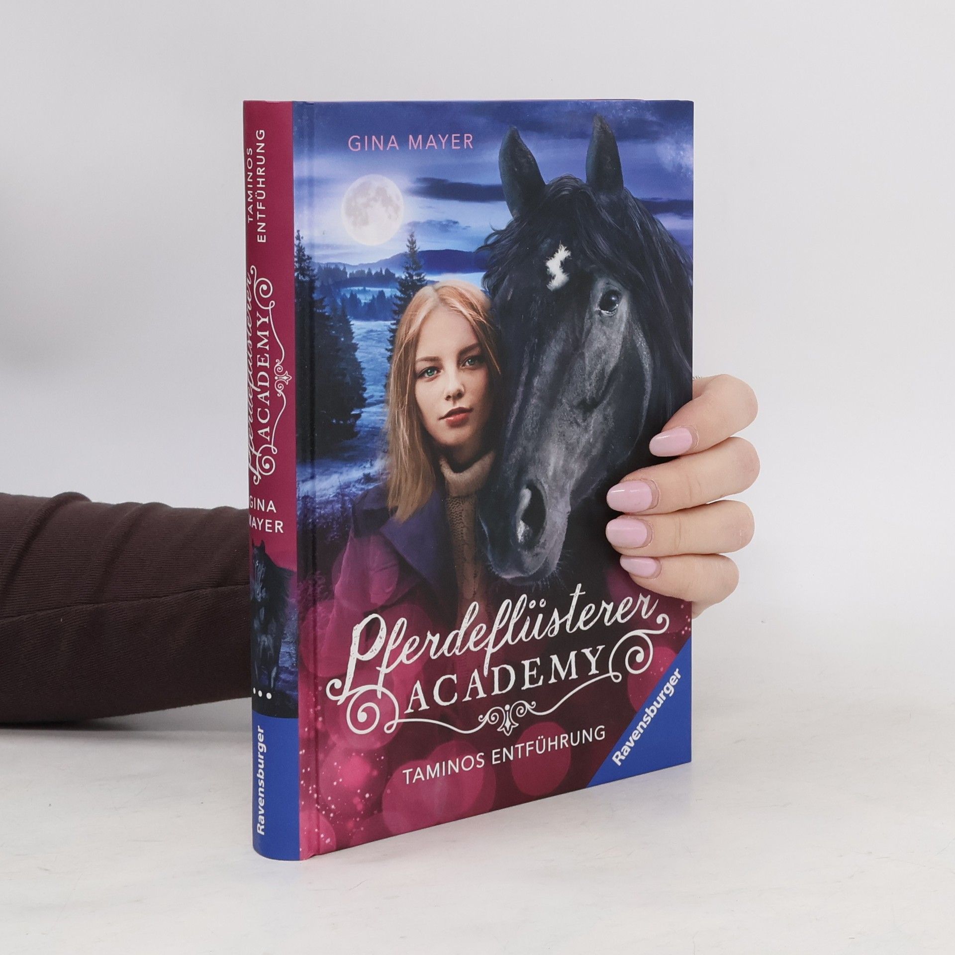 Gina Mayer Pferdeflüsterer-Academy, Band 13: Taminos Entführung (berührende Pferde-Reihe im wilden Kanada ab 10 Jahren)