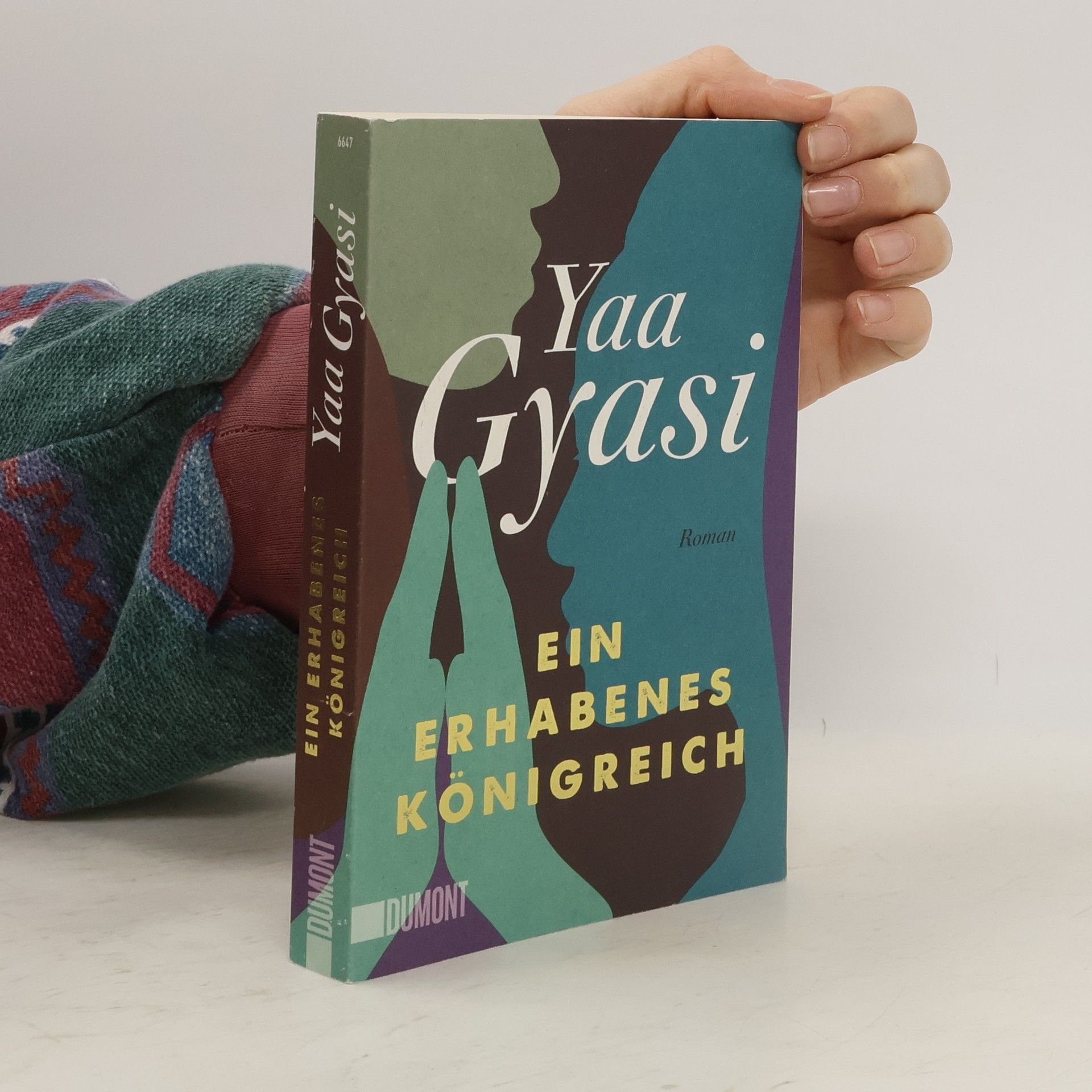 Yaa Gyasi Ein erhabenes Königreich