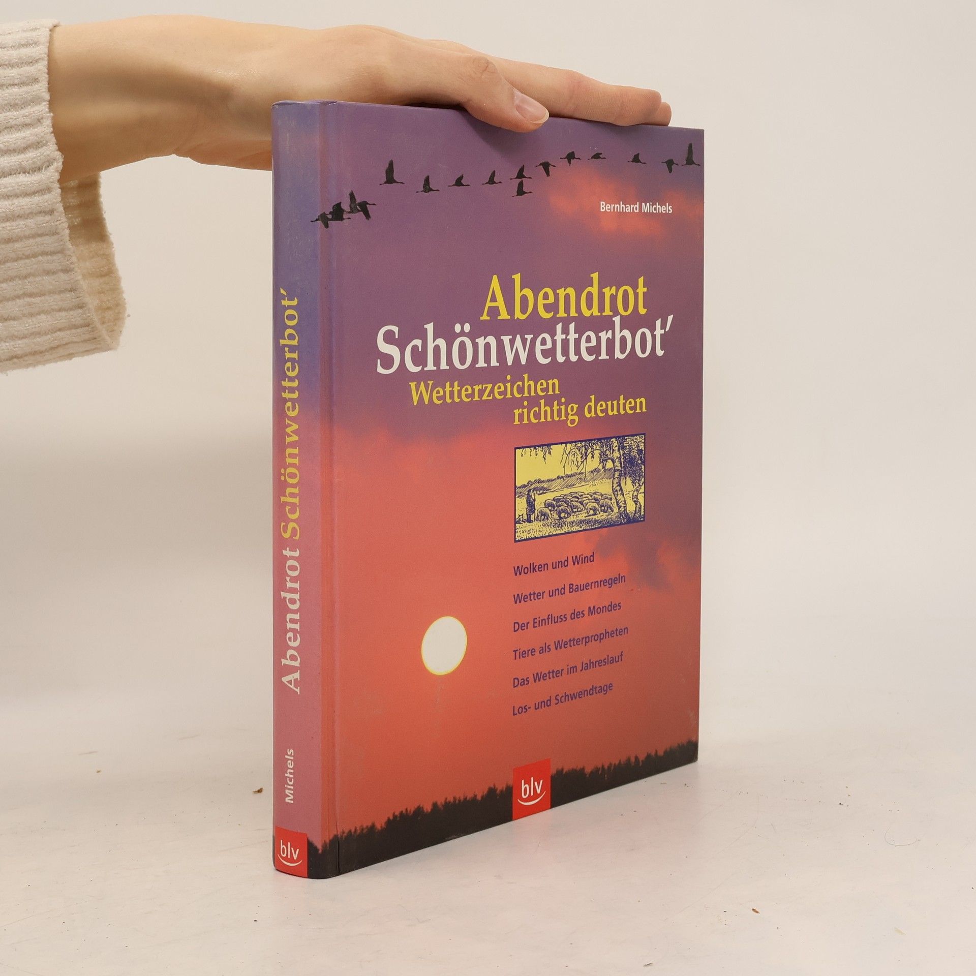 Bernhard Michels Abendrot Schönwetterbot'