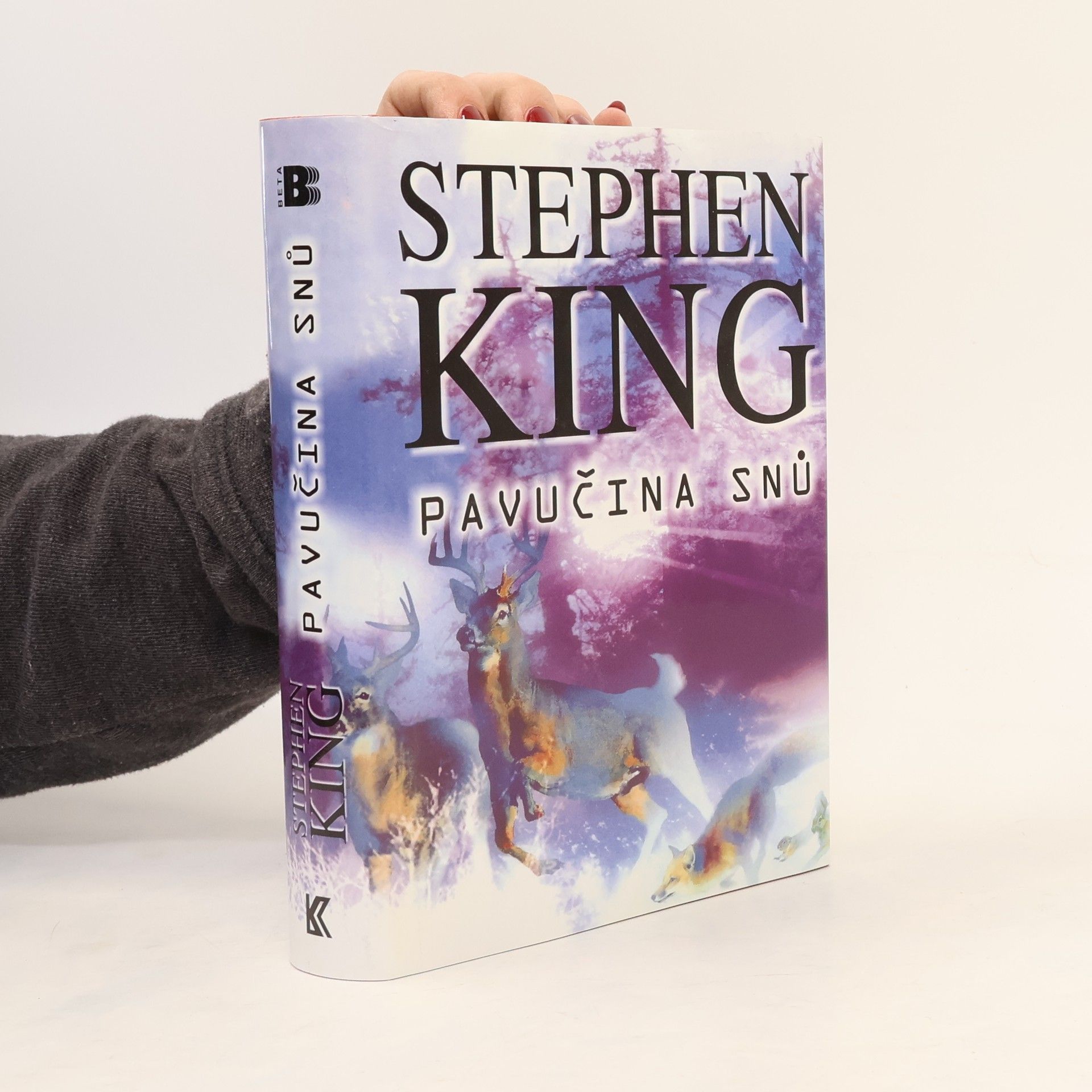 Stephen King Pavučina snů