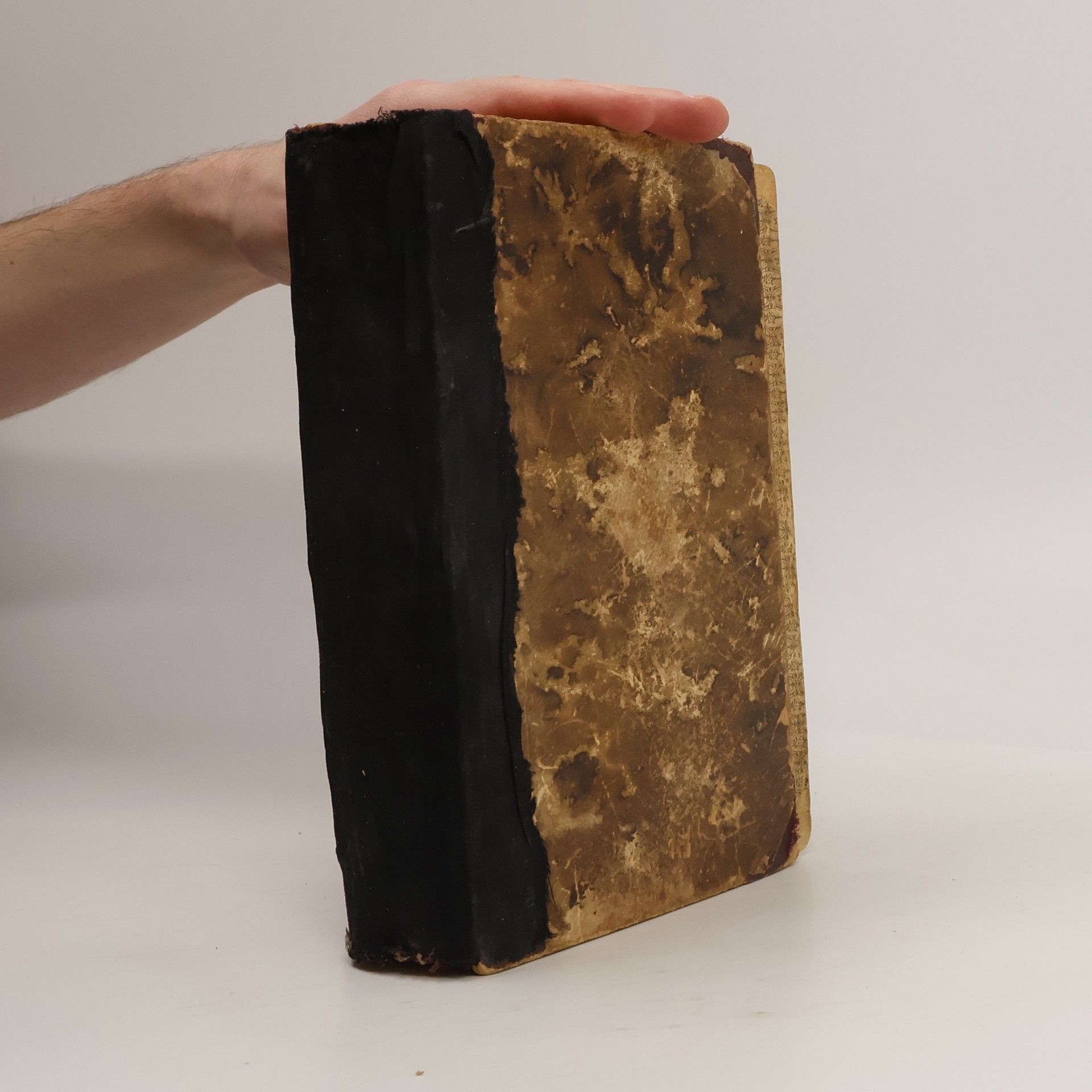 J. Gorlic Mučednice