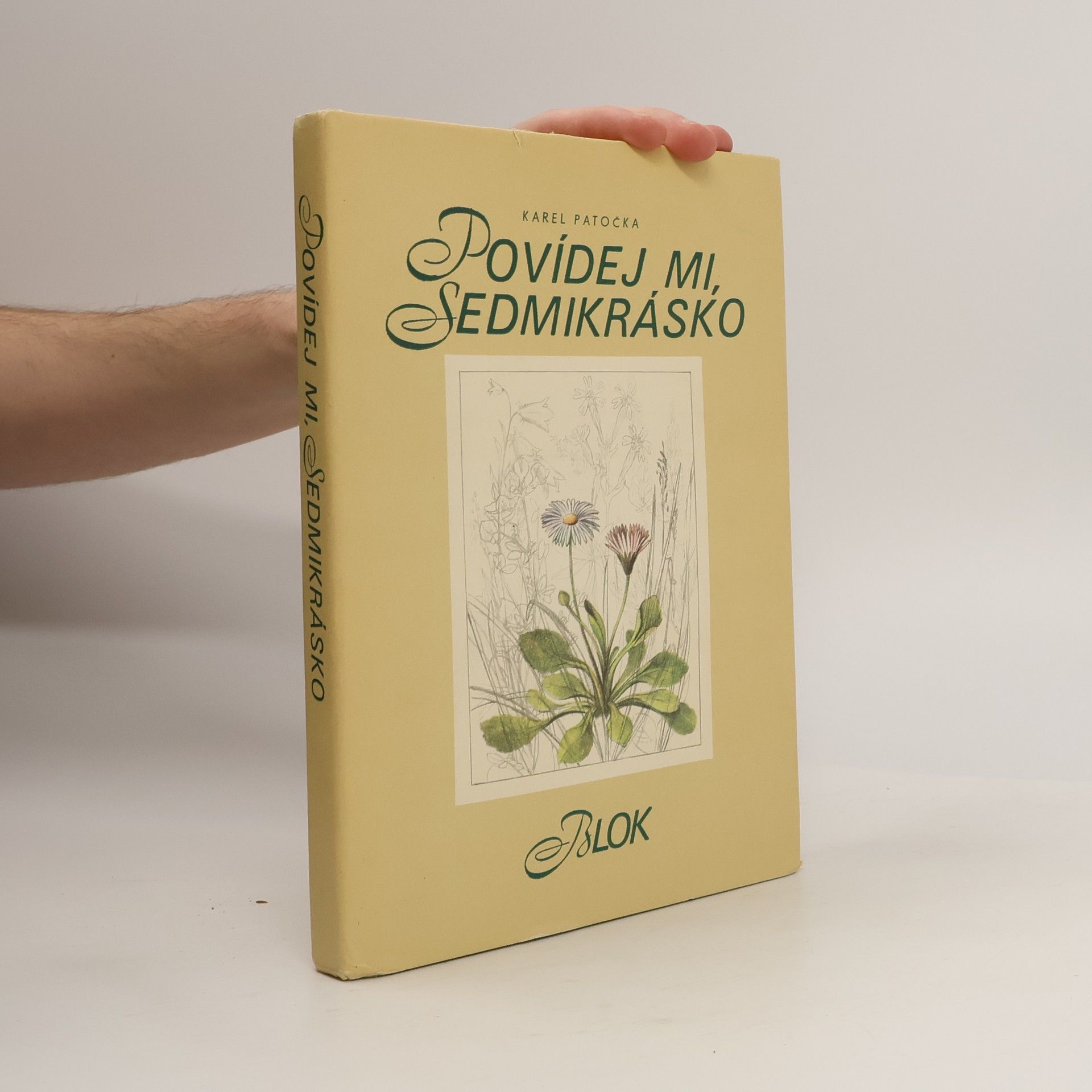 Karel Patočka Povídej mi, sedmikrásko