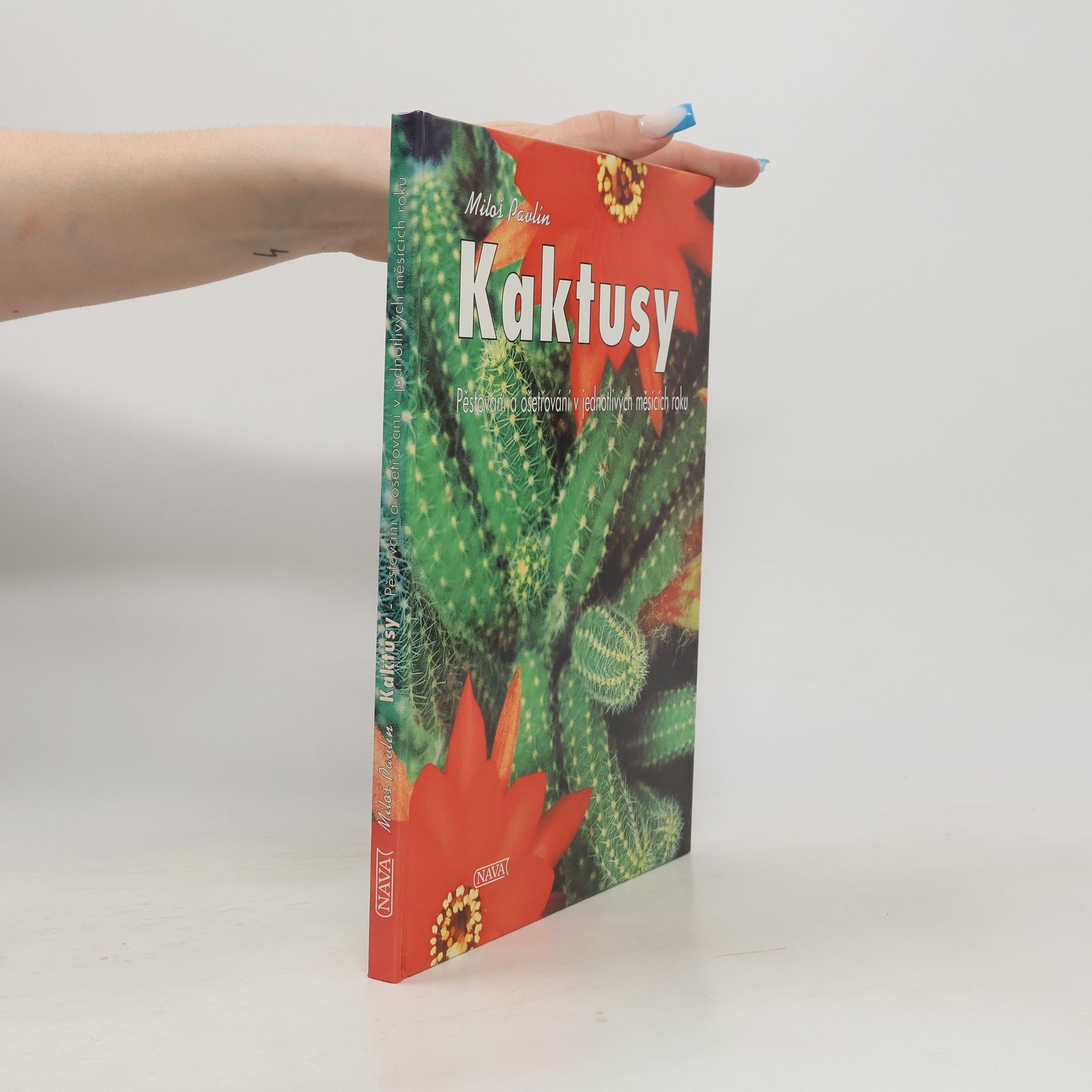 Pavlín Miloš Kaktusy. Pěstování a ošetřování v jednotlivých měsících roku
