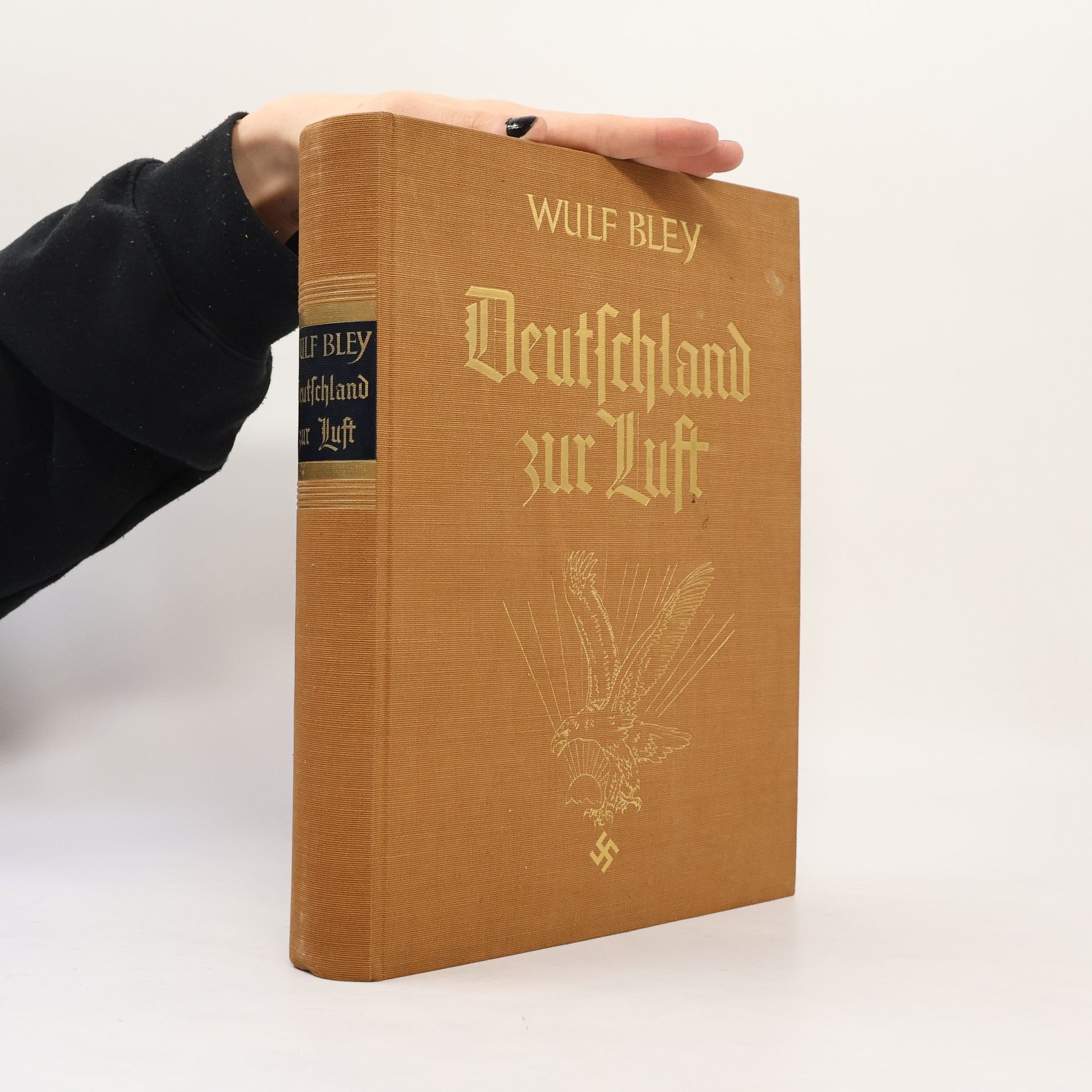 Wulf Bley Deutschland zur Luft