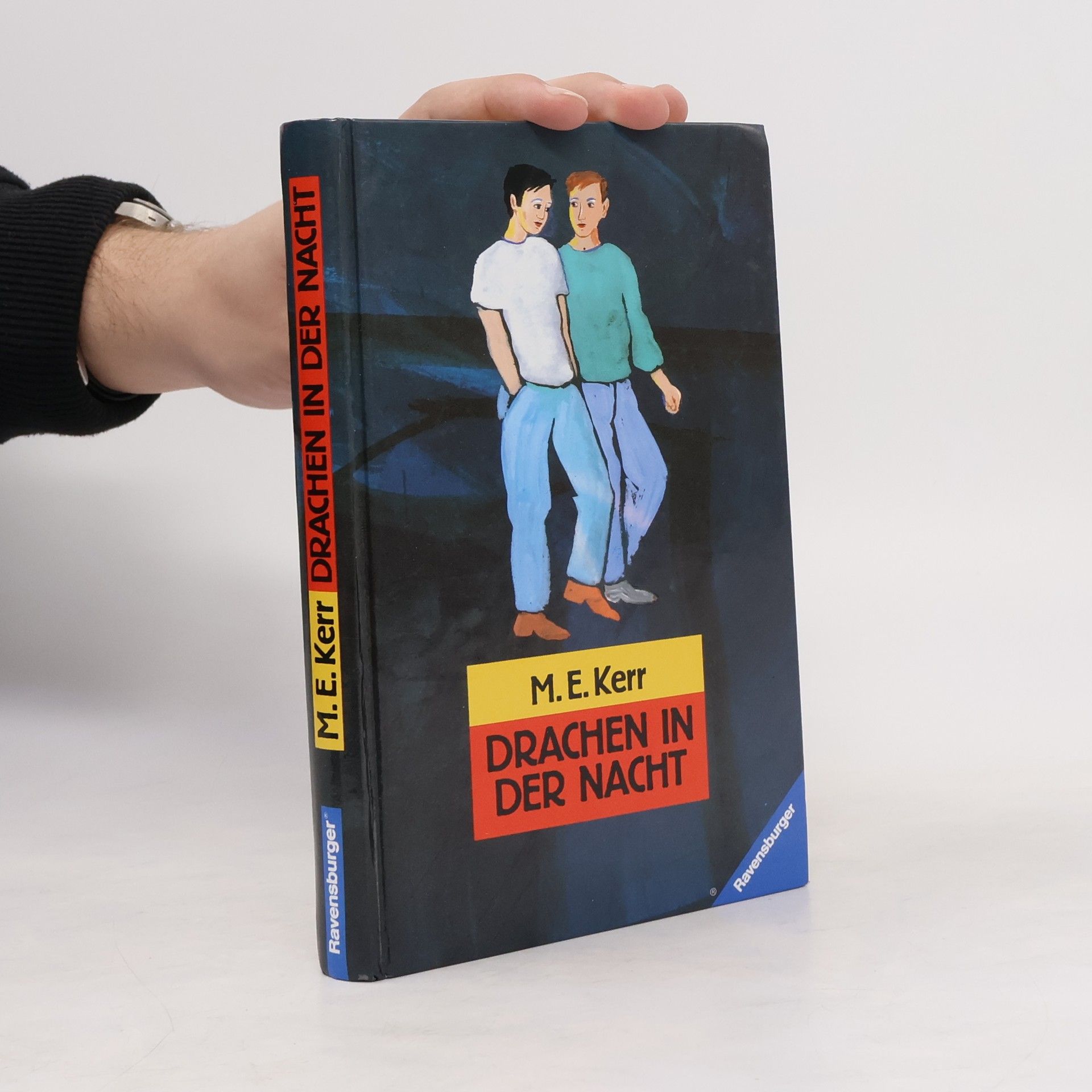 M. E. Kerr Drachen in der Nacht