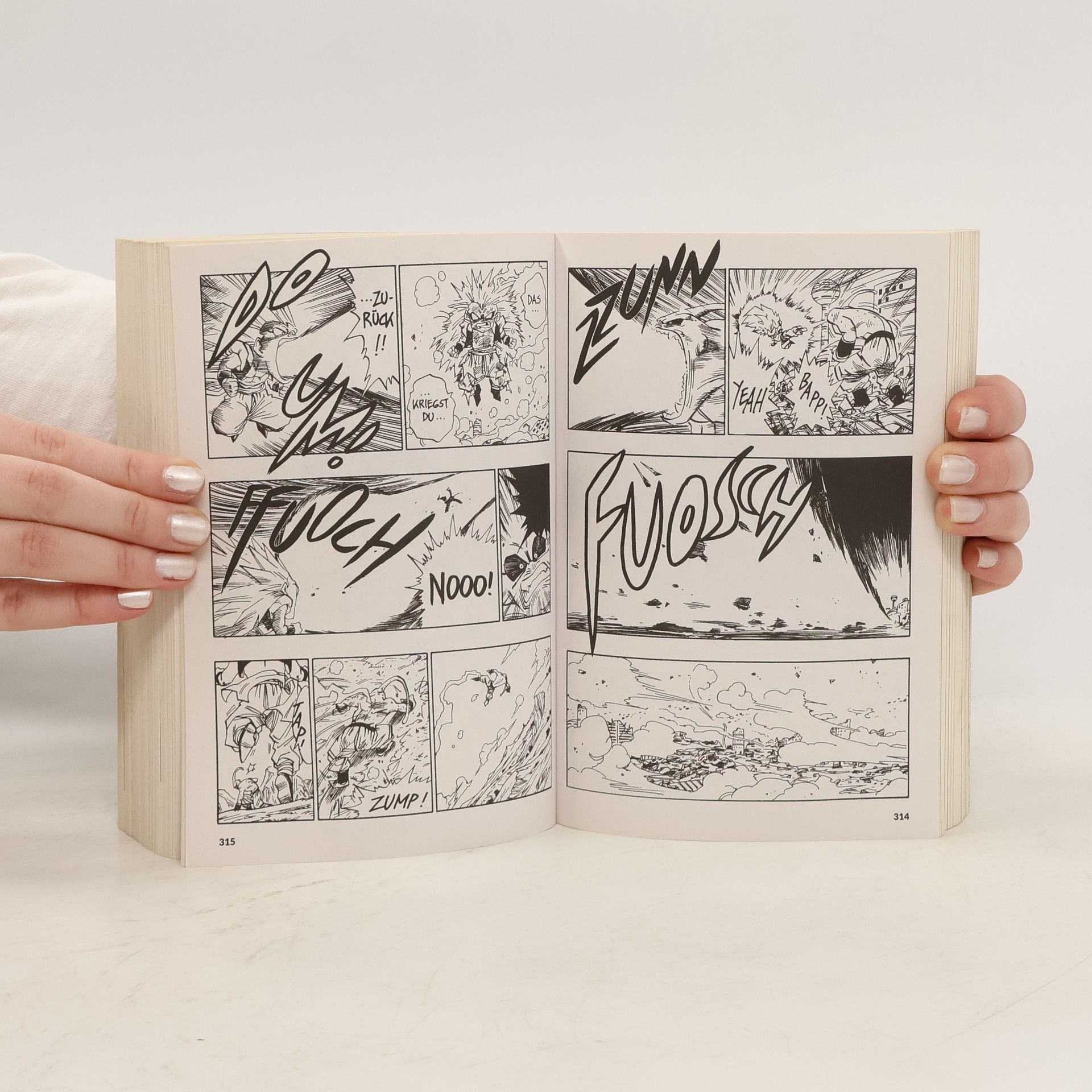 Akira Toriyama Dragon Ball Massiv 14