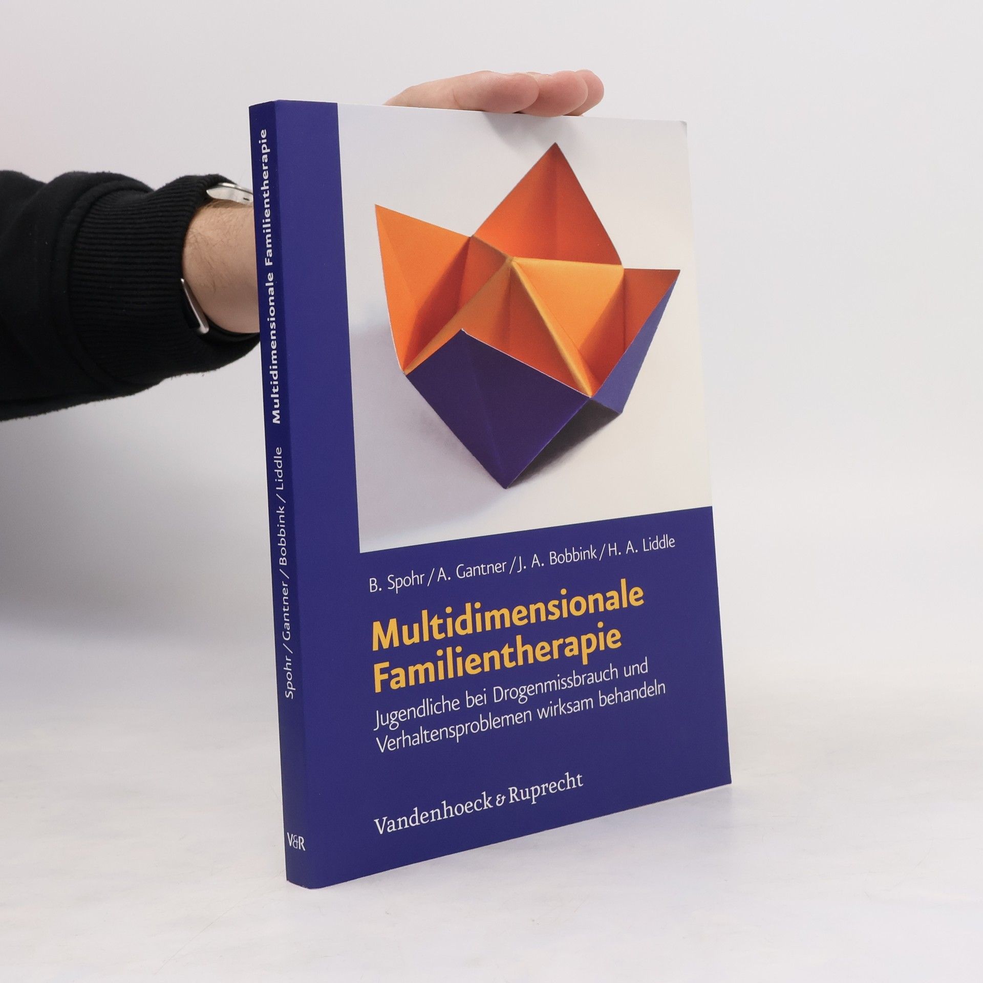 Birgit Spohr Multidimensionale Familientherapie