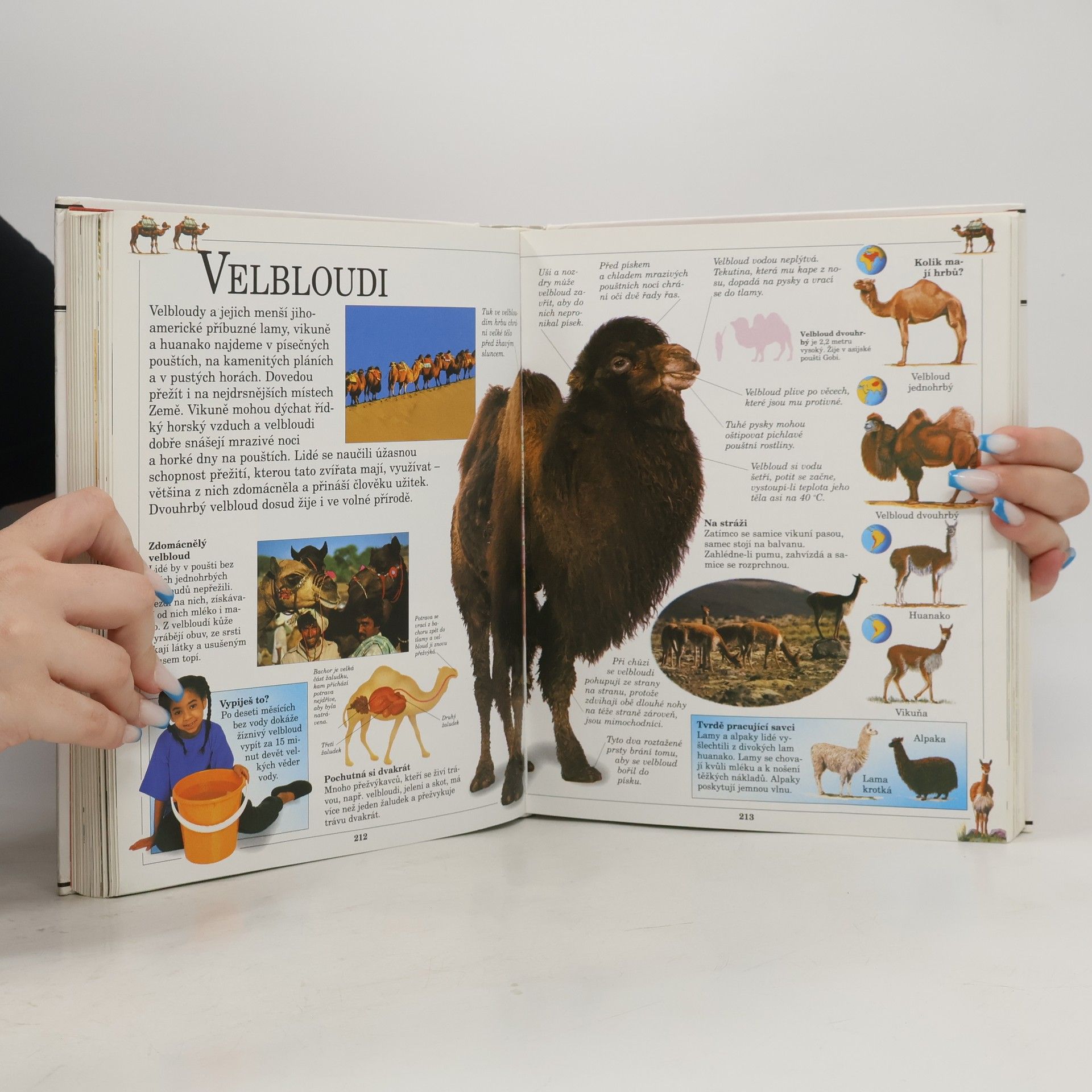 Collectif d'auteurs Velká dětská encyklopedie