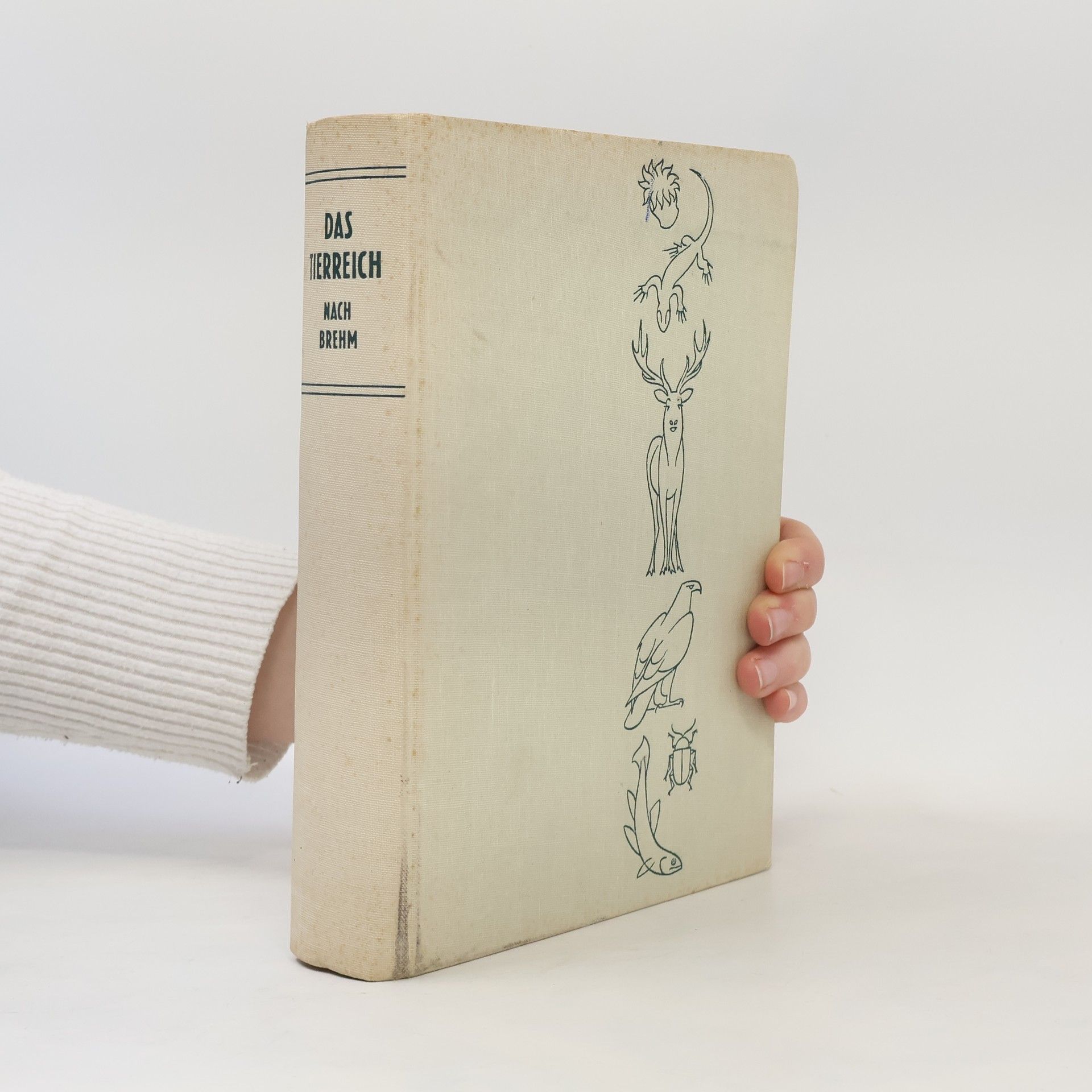 Autorenkollektiv Das Tierreich nach Brehm