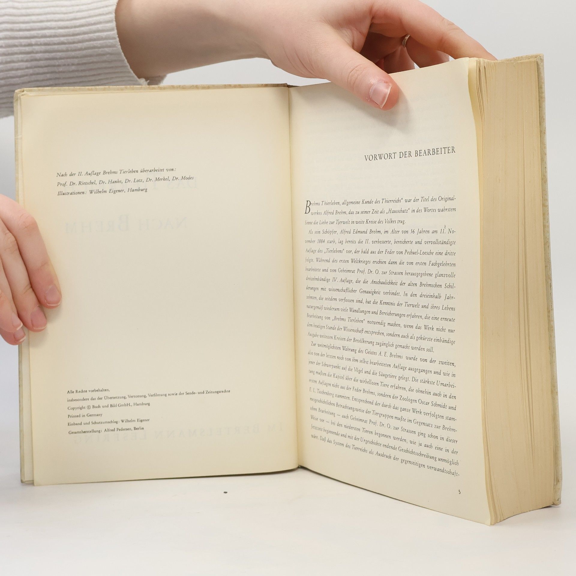 Autorenkollektiv Das Tierreich nach Brehm