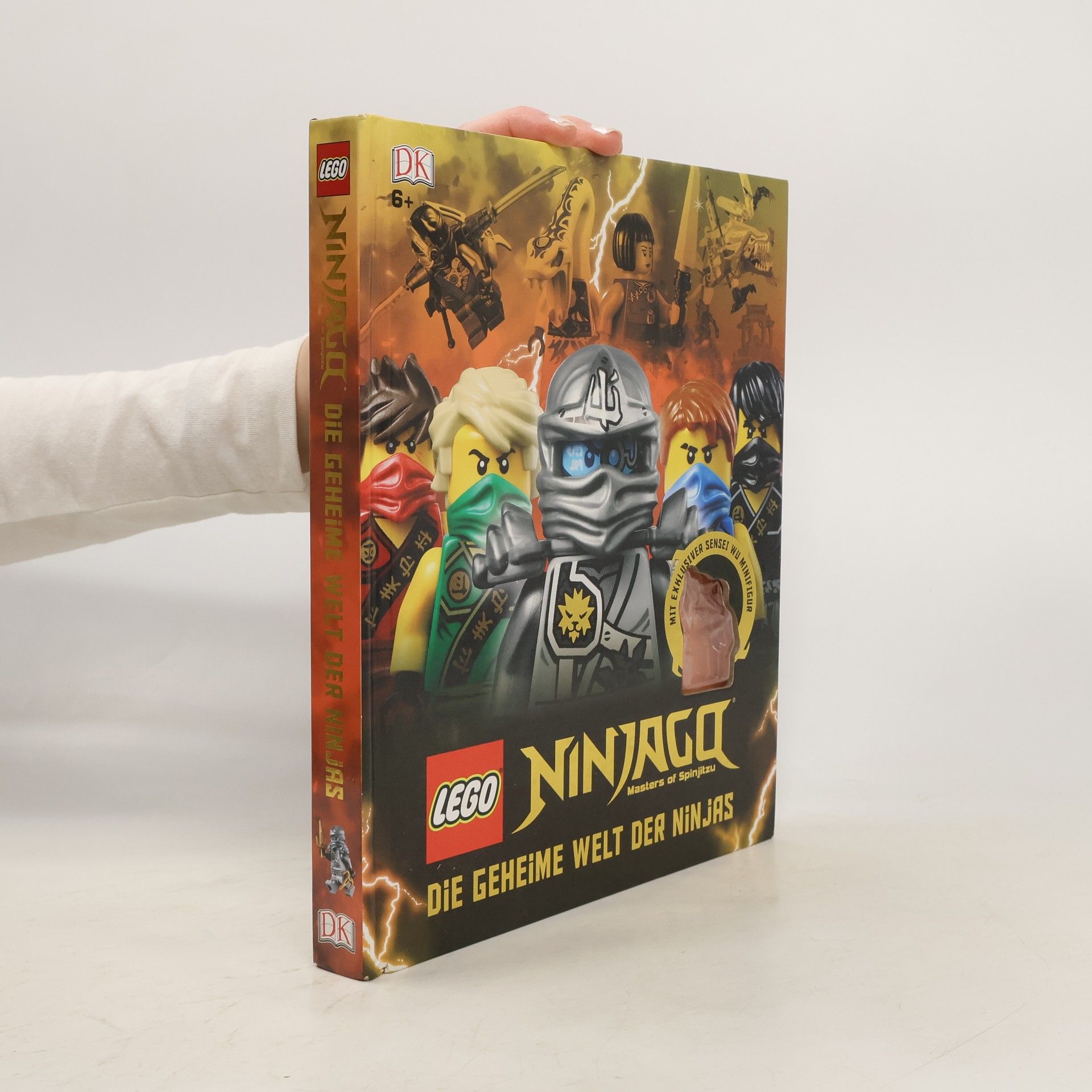 Beth Landis Hester LEGO Ninjago masters of Spinjitzu - die geheime Welt der Ninjas