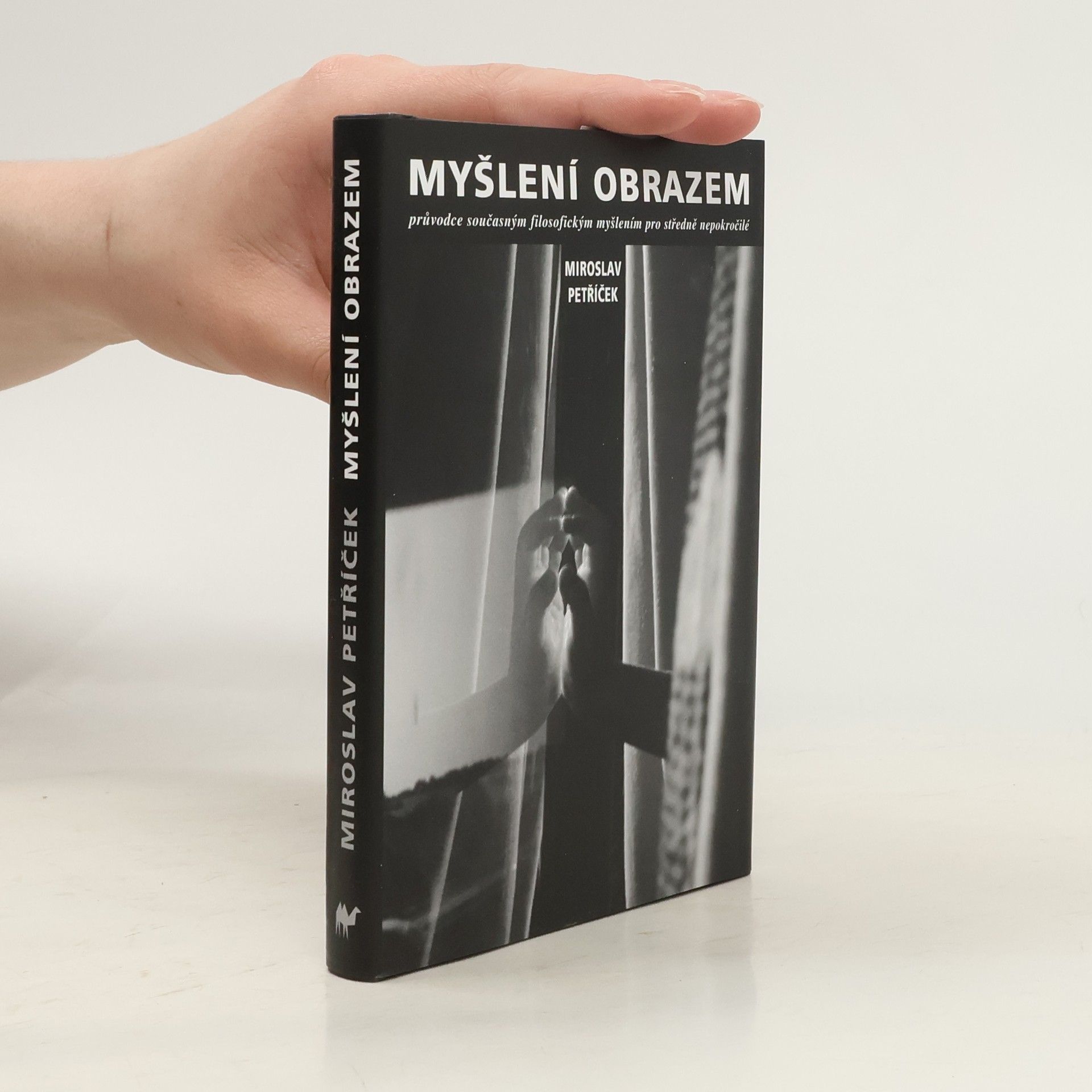 Miroslav Petříček Myšlení obrazem: Průvodce současným filosofickým myšlením pro středně nepokročilé