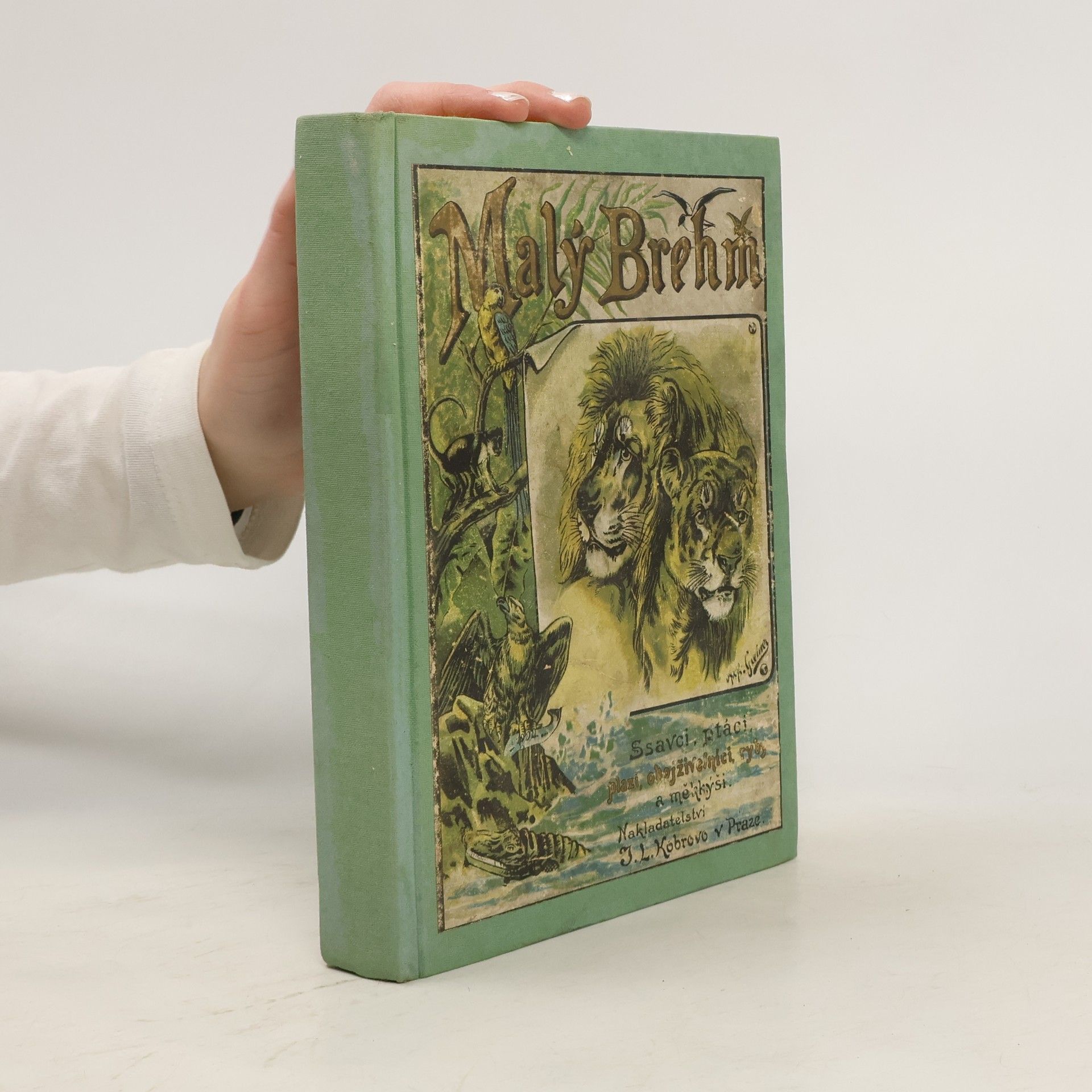 Bohuslav Záborský Malý Brehm: Vylíčení života a vlastností zvířat