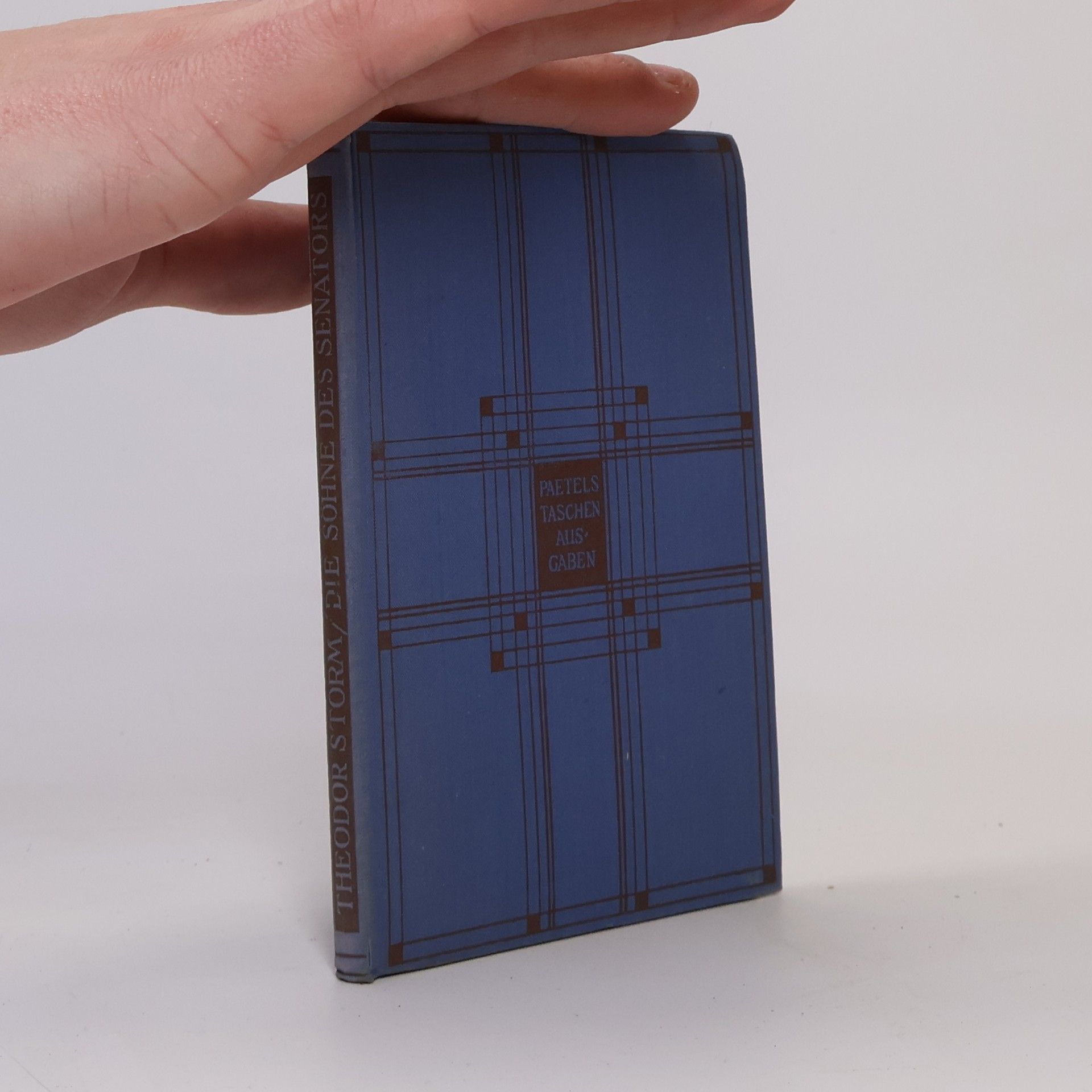 Theodor Storm Die Söhne des Senators