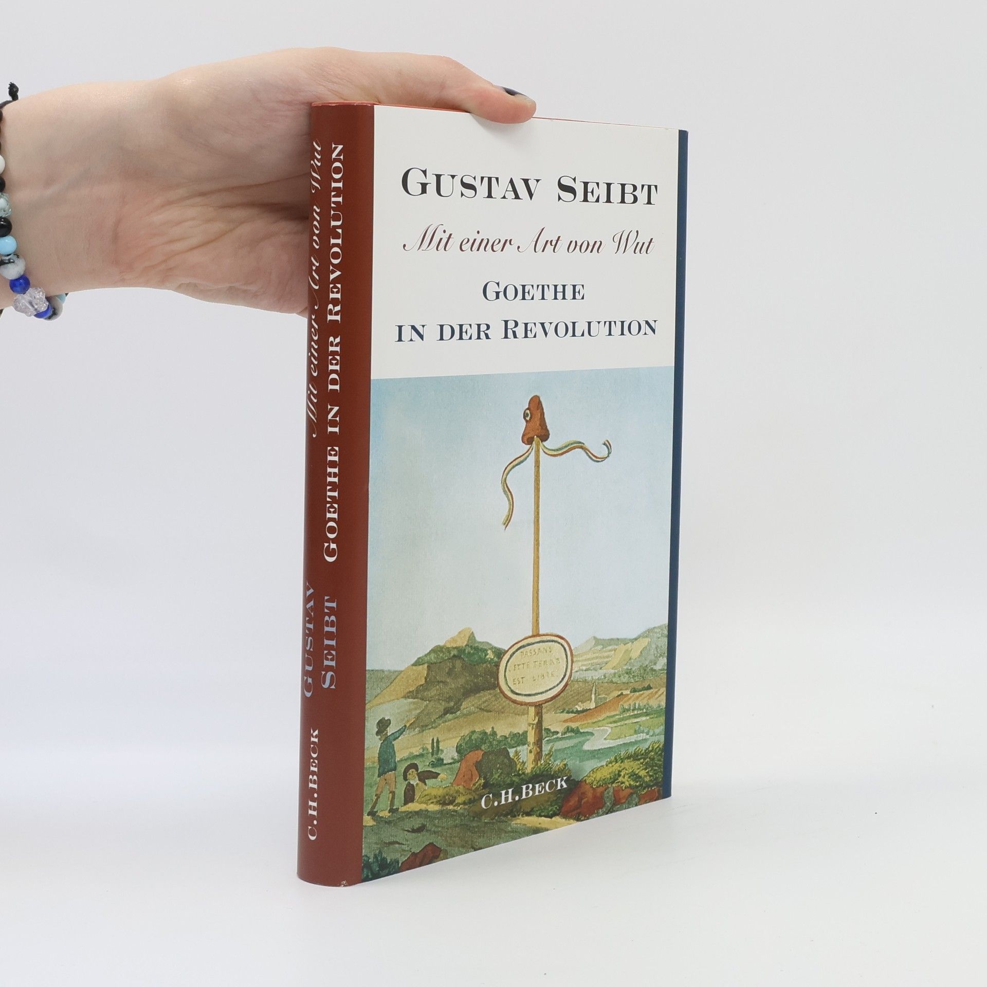 Gustav Seibt Mit einer Art von Wut