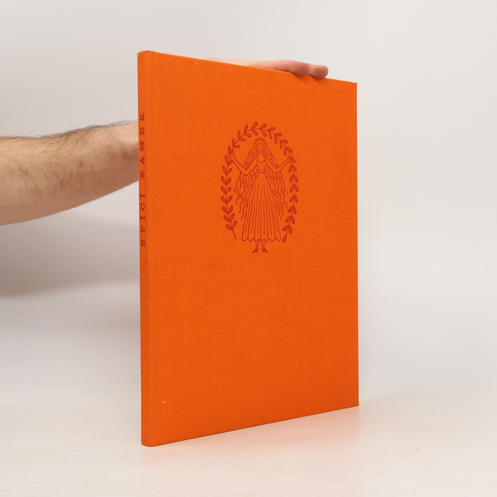 Vladislav Stanovský Spící zámek