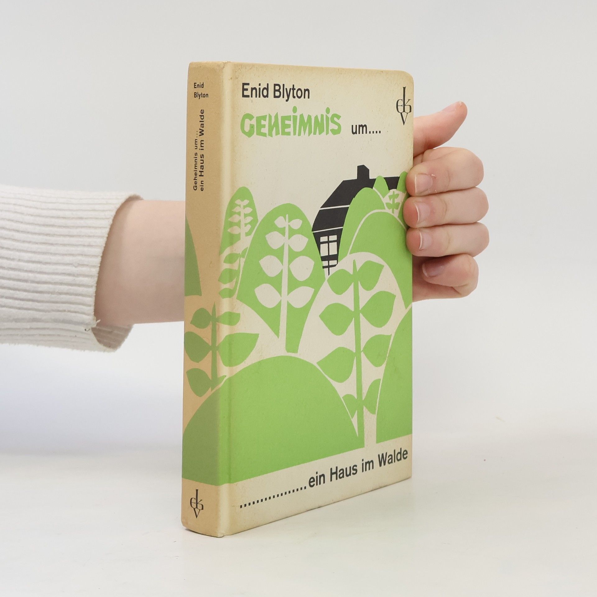 Enid Blyton Geheimnis um ein Haus im Walde