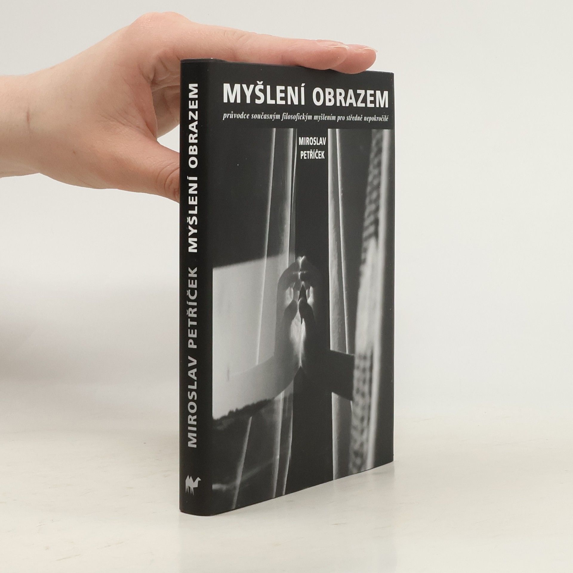 Miroslav Petříček Myšlení obrazem: Průvodce současným filosofickým myšlením pro středně nepokročilé