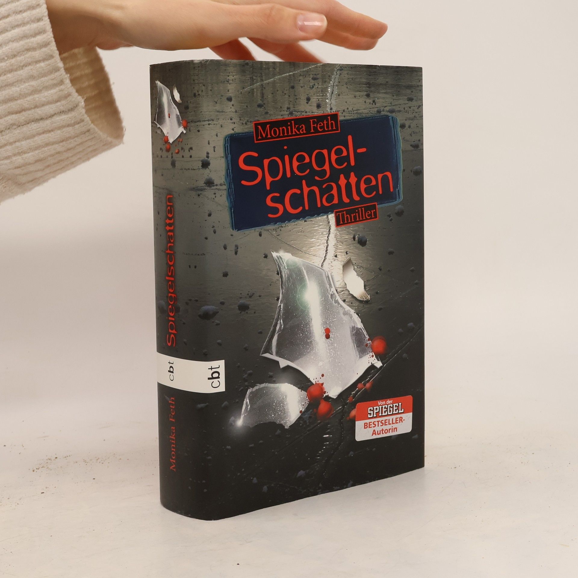 Monika Feth Spiegelschatten